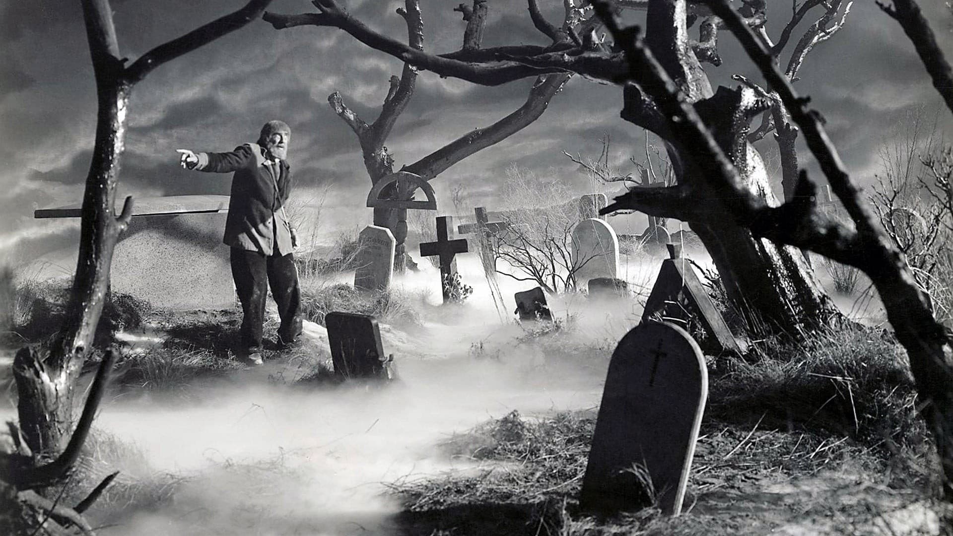 Son of Frankenstein Backdrop