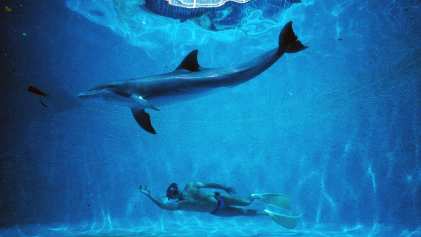 The Big Blue Backdrop