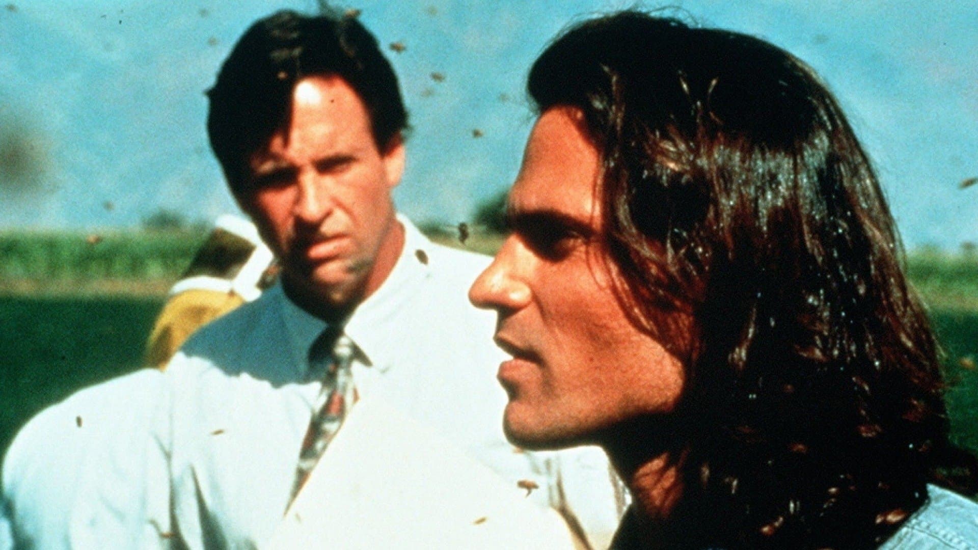 Deadly Invasion: The Killer Bee Nightmare Backdrop