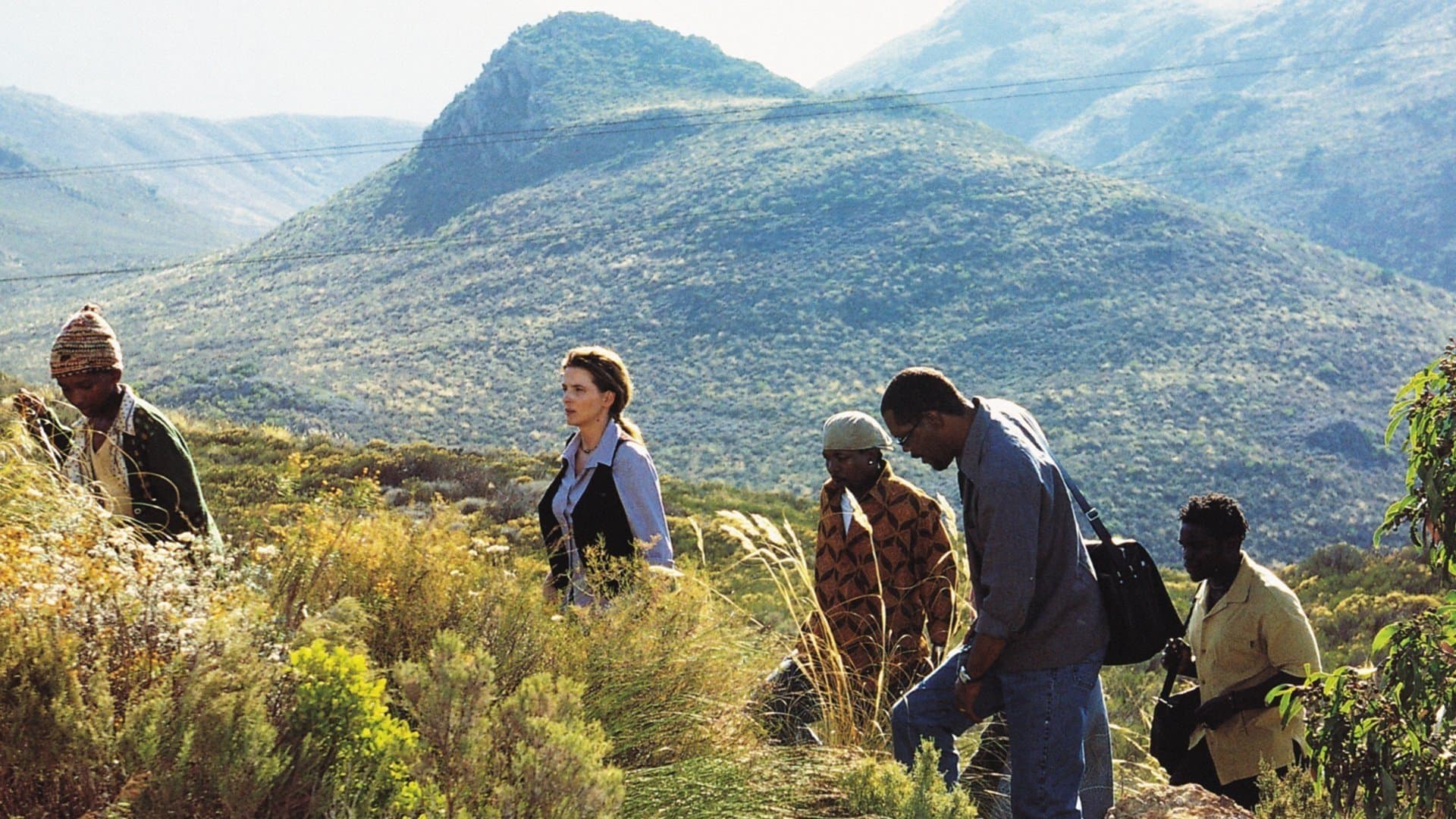 In My Country Backdrop