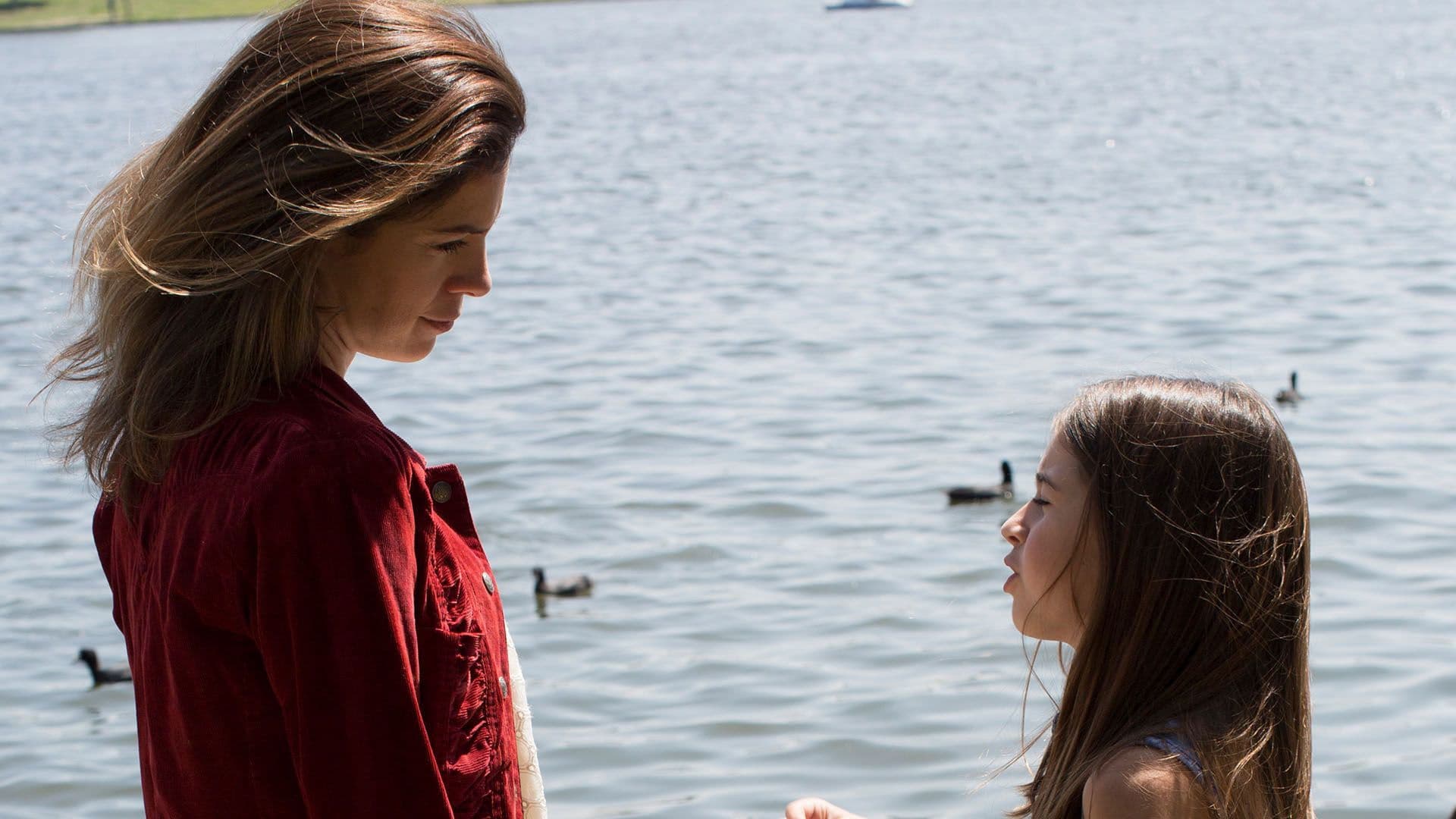 Abduction of Angie Backdrop