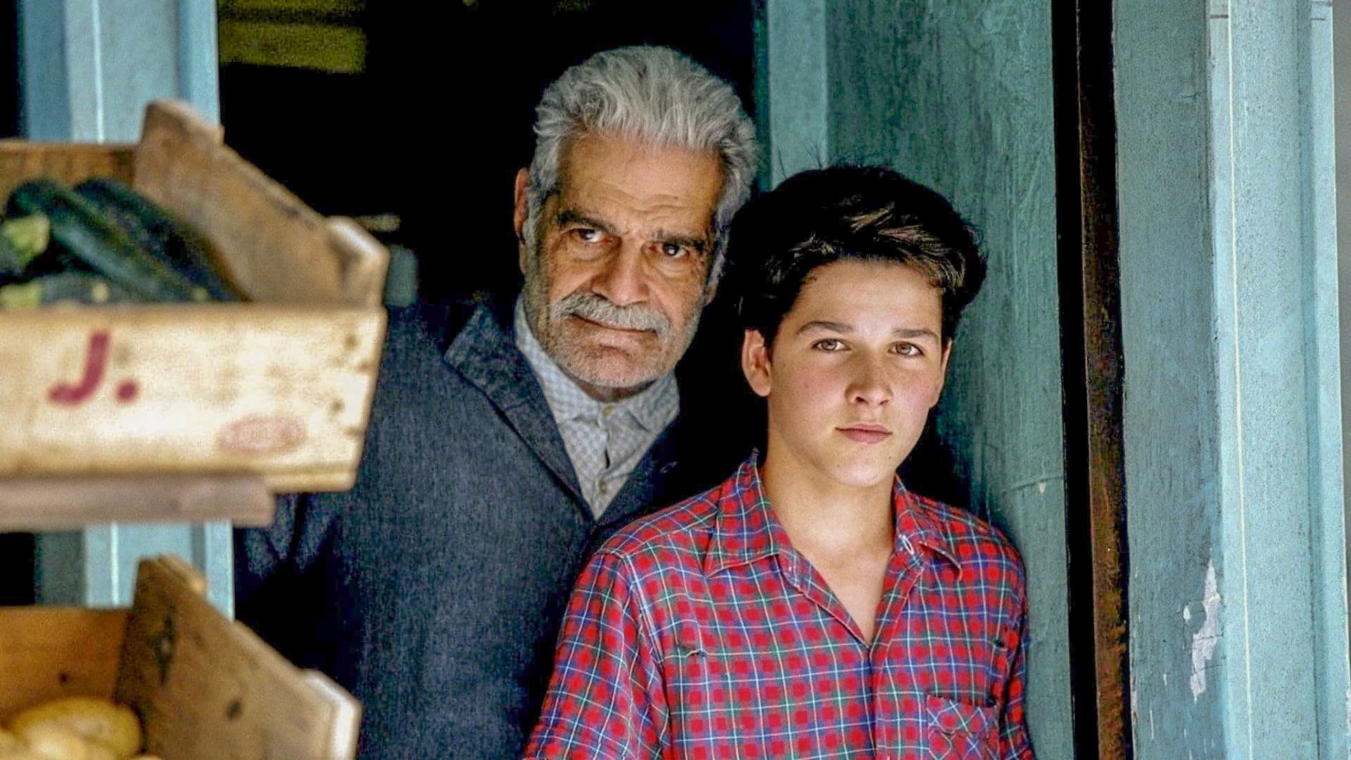 Monsieur Ibrahim Backdrop