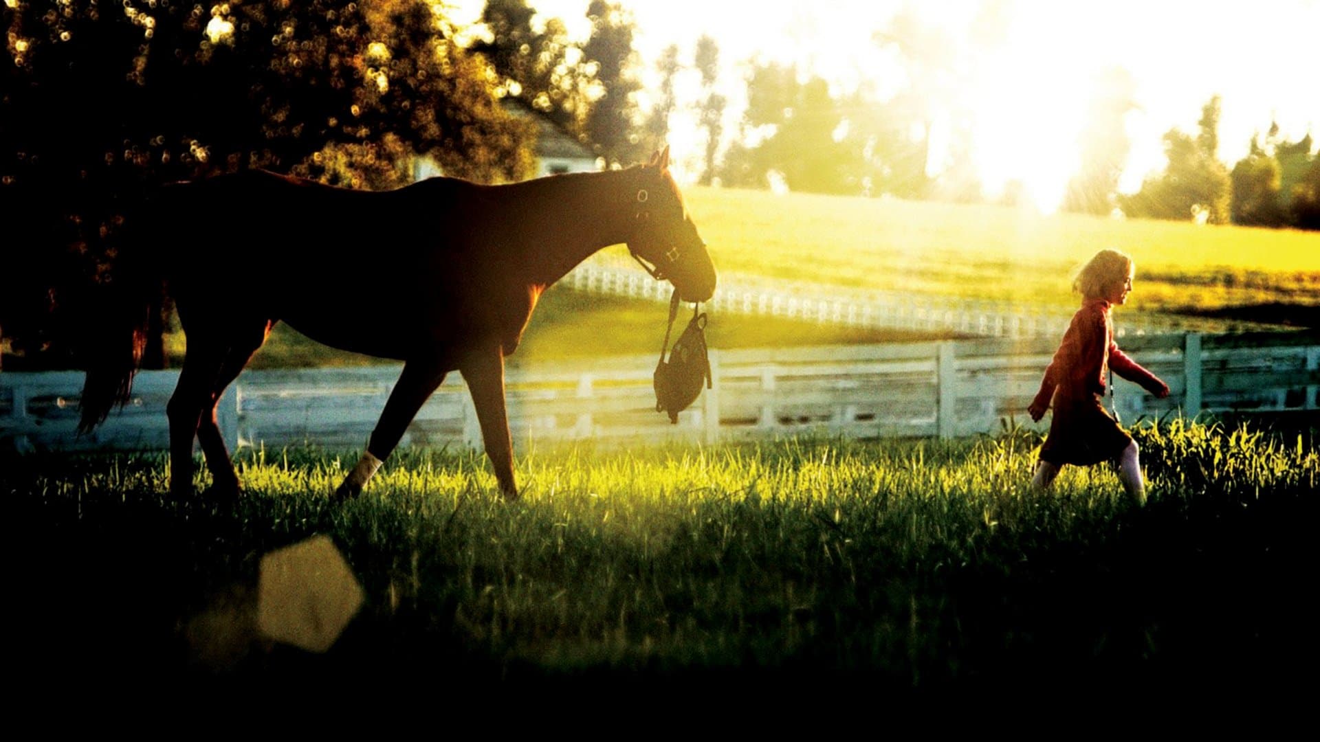 Dreamer: Inspired By a True Story Backdrop