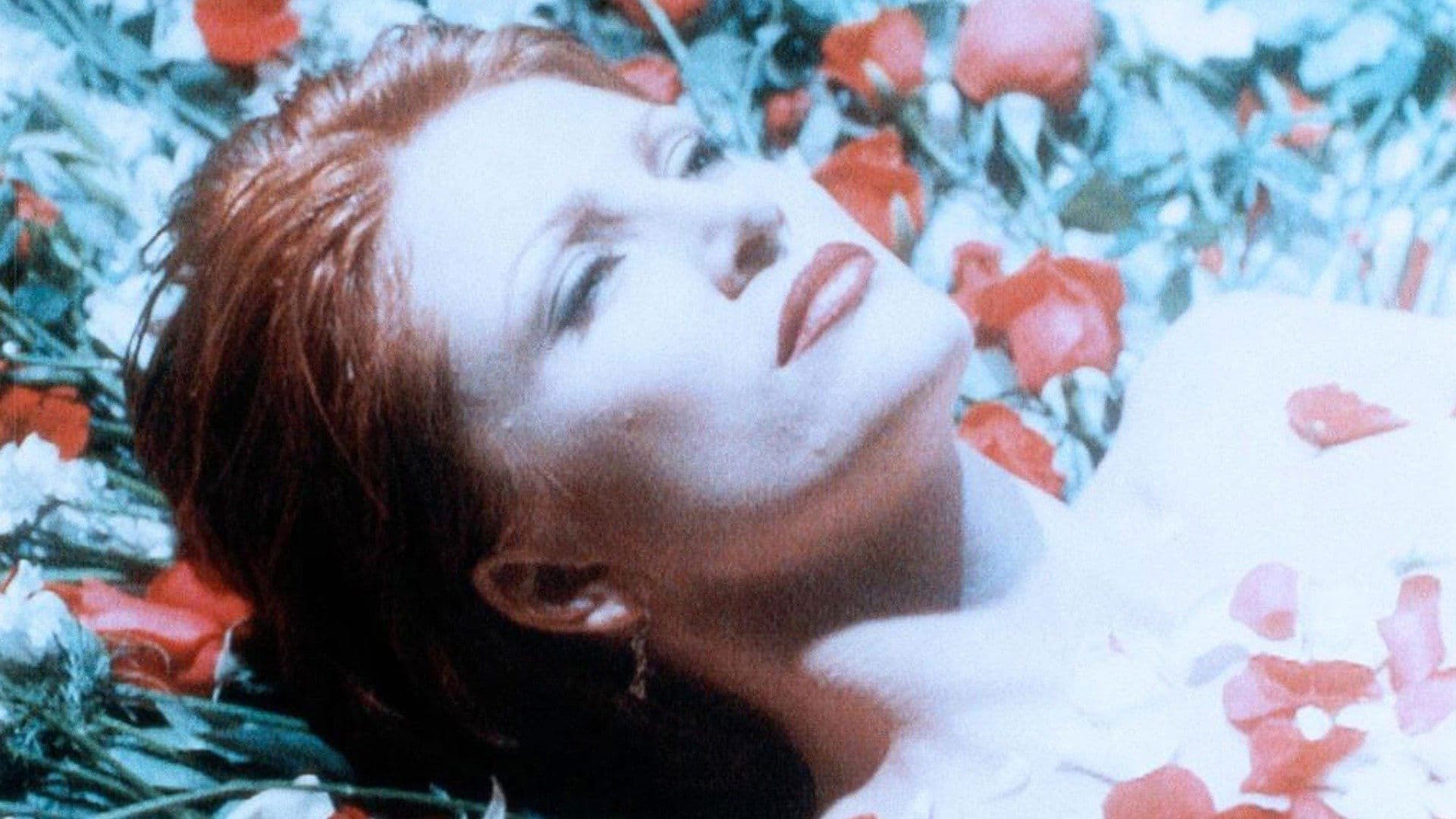 The Gardener Backdrop