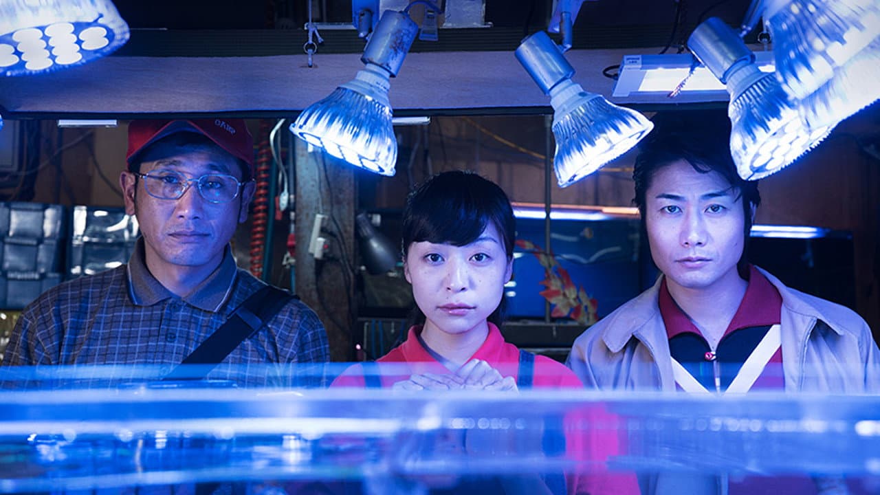 Between Men and the Gods Backdrop