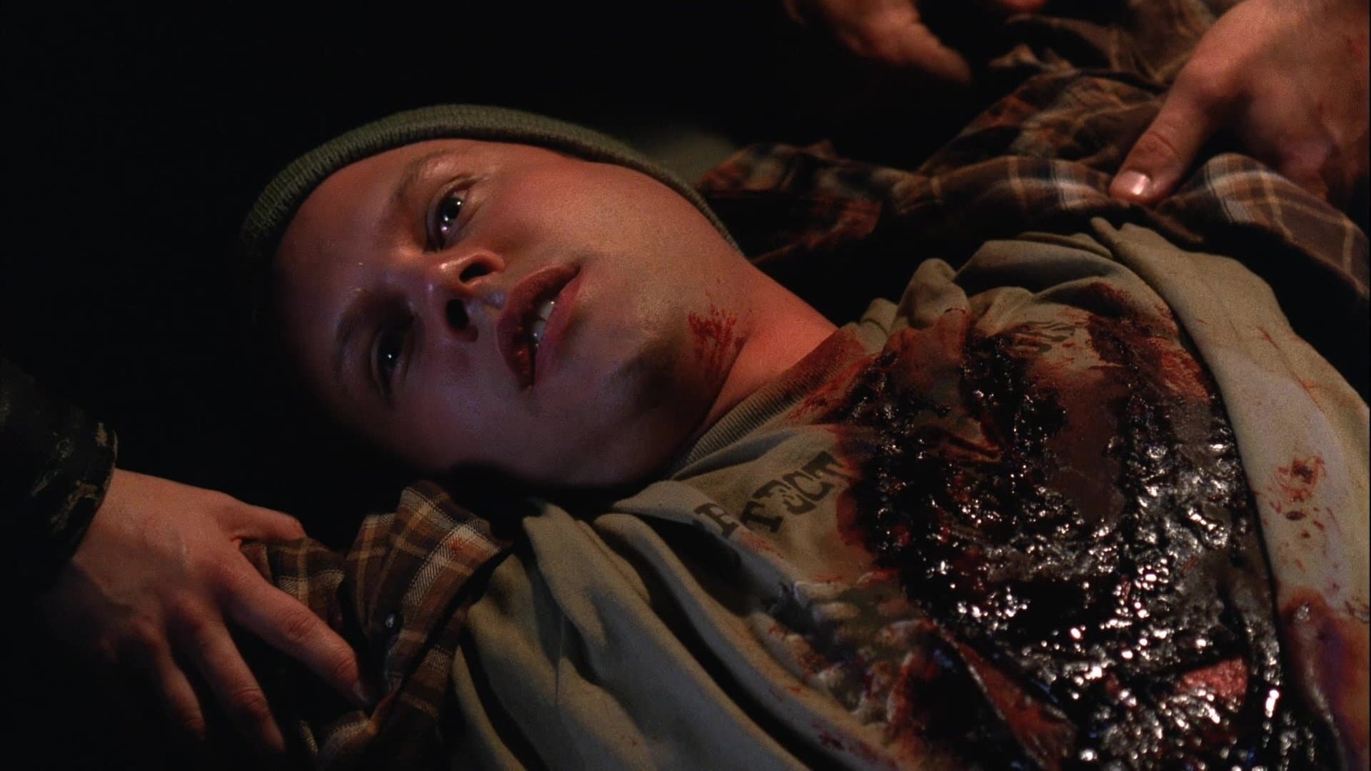 Big Bad Wolf Backdrop