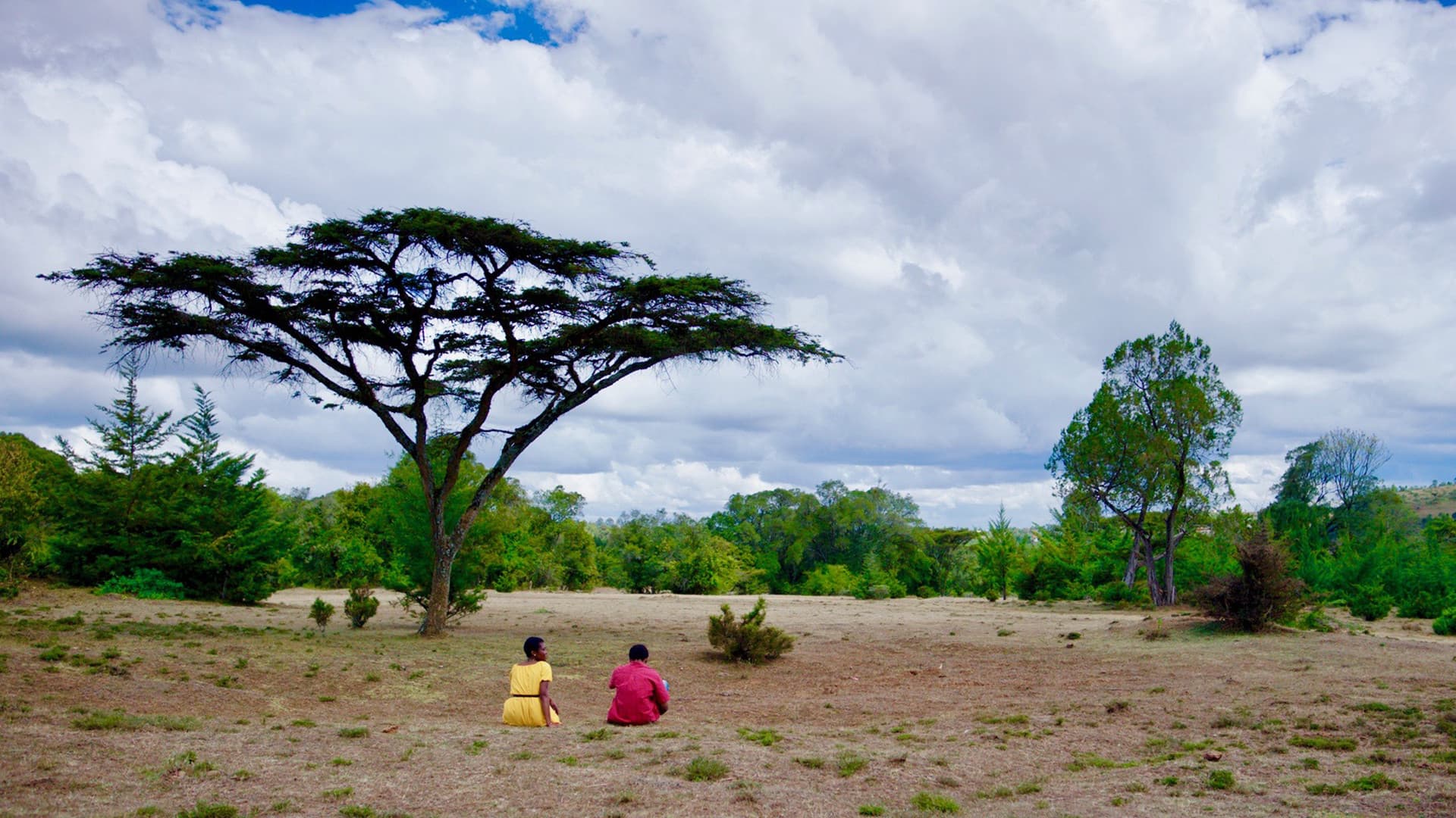 The Wall Street Boy Backdrop