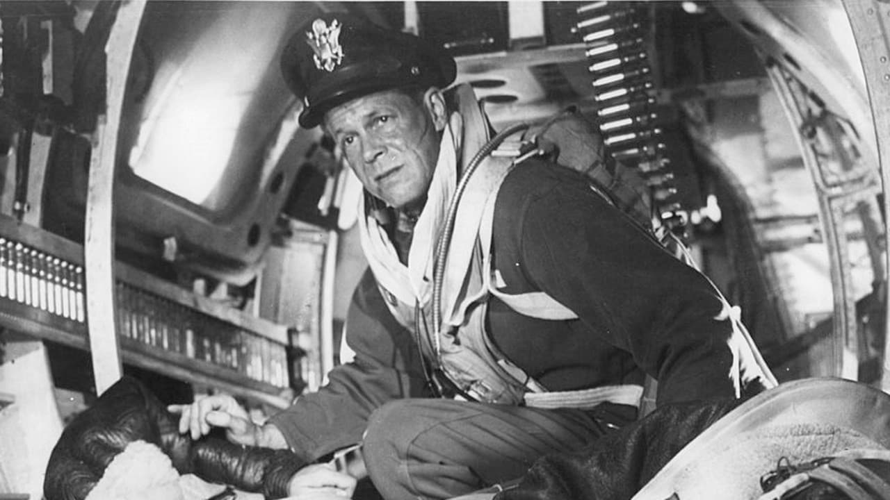 The Bamboo Saucer Backdrop