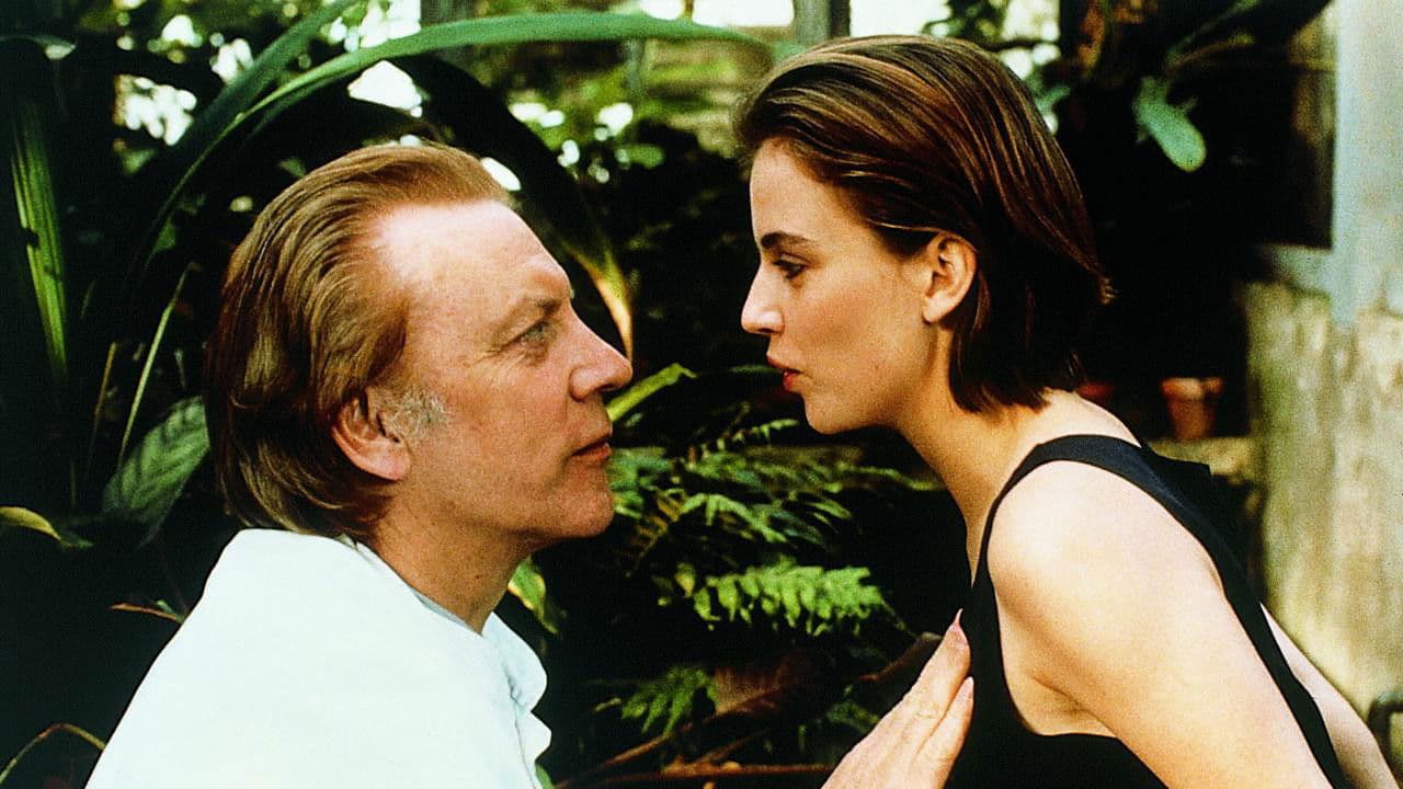 Buster's Bedroom Backdrop