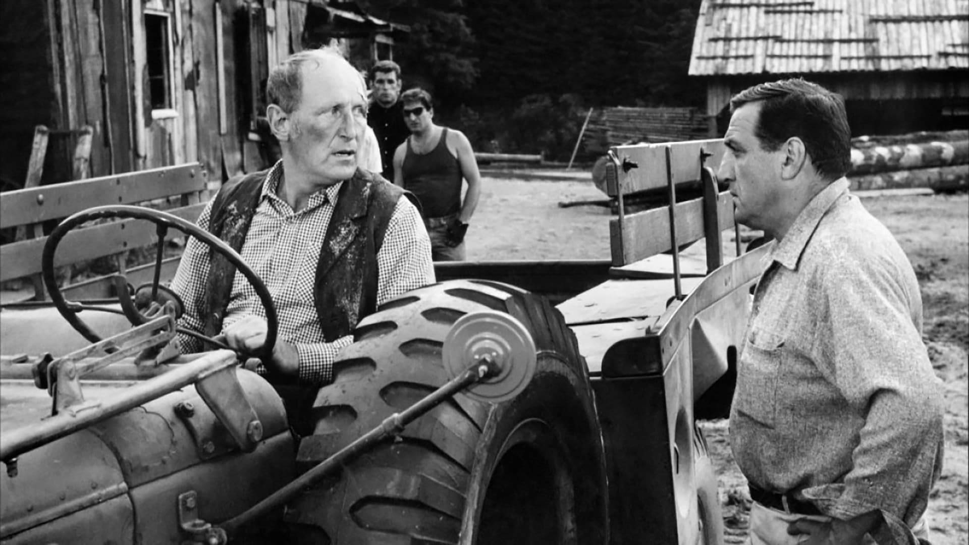 The Wise Guys Backdrop