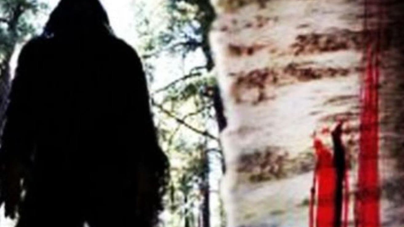 Sasquatch Mountain Backdrop