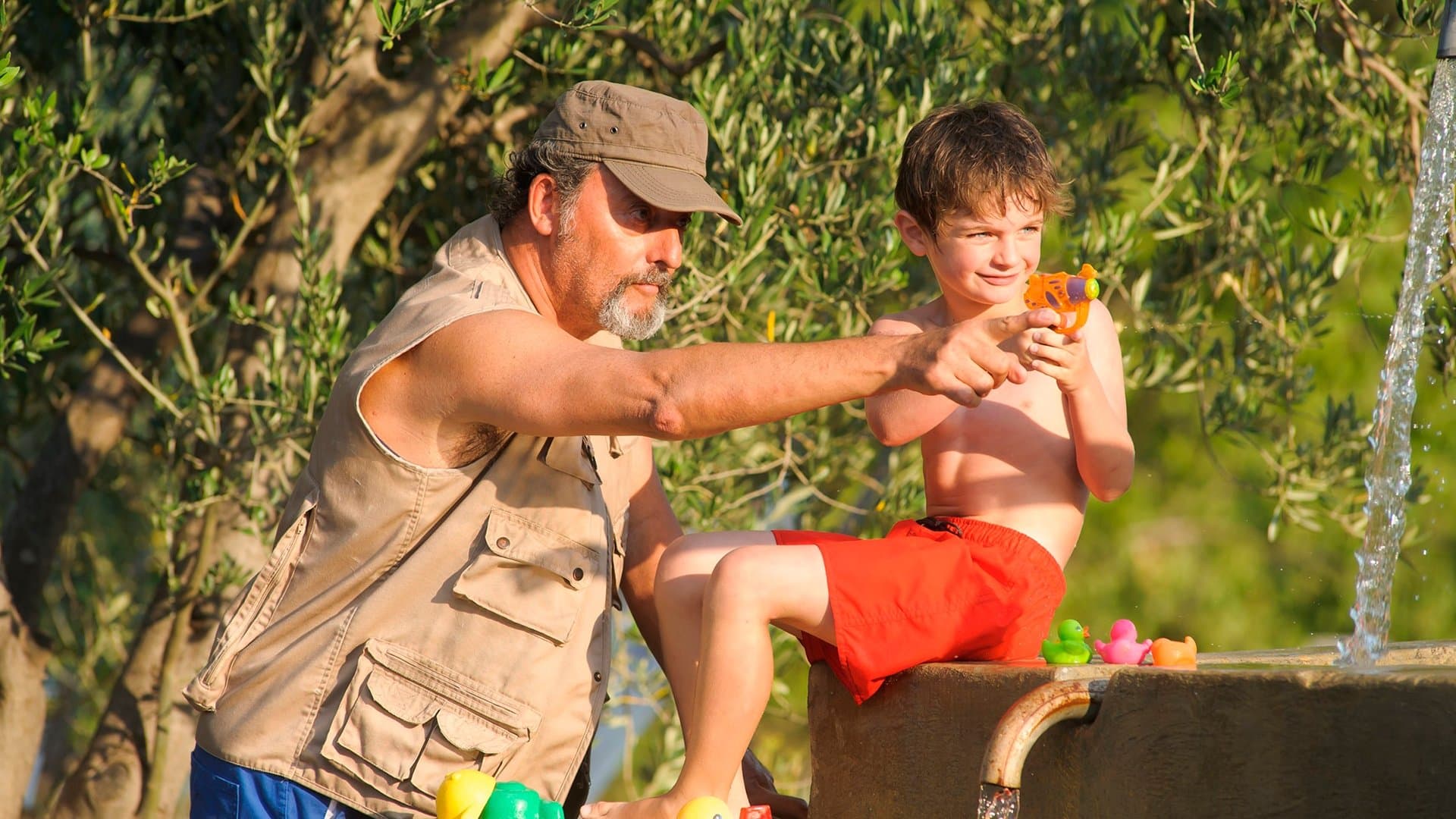 My Summer in Provence Backdrop