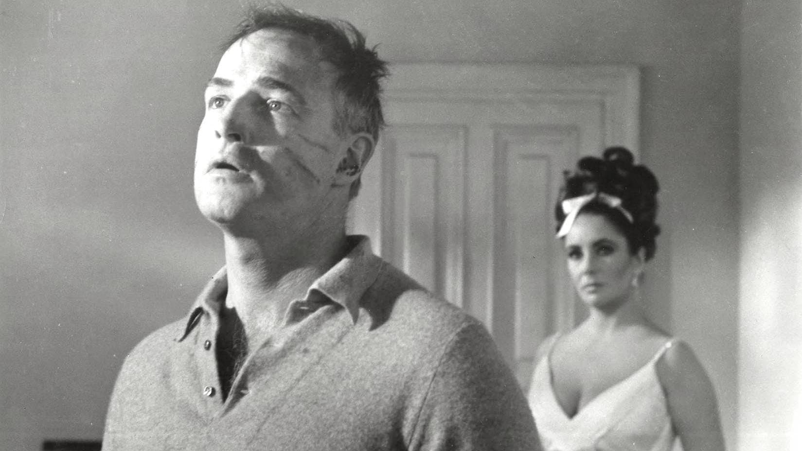 Reflections in a Golden Eye Backdrop