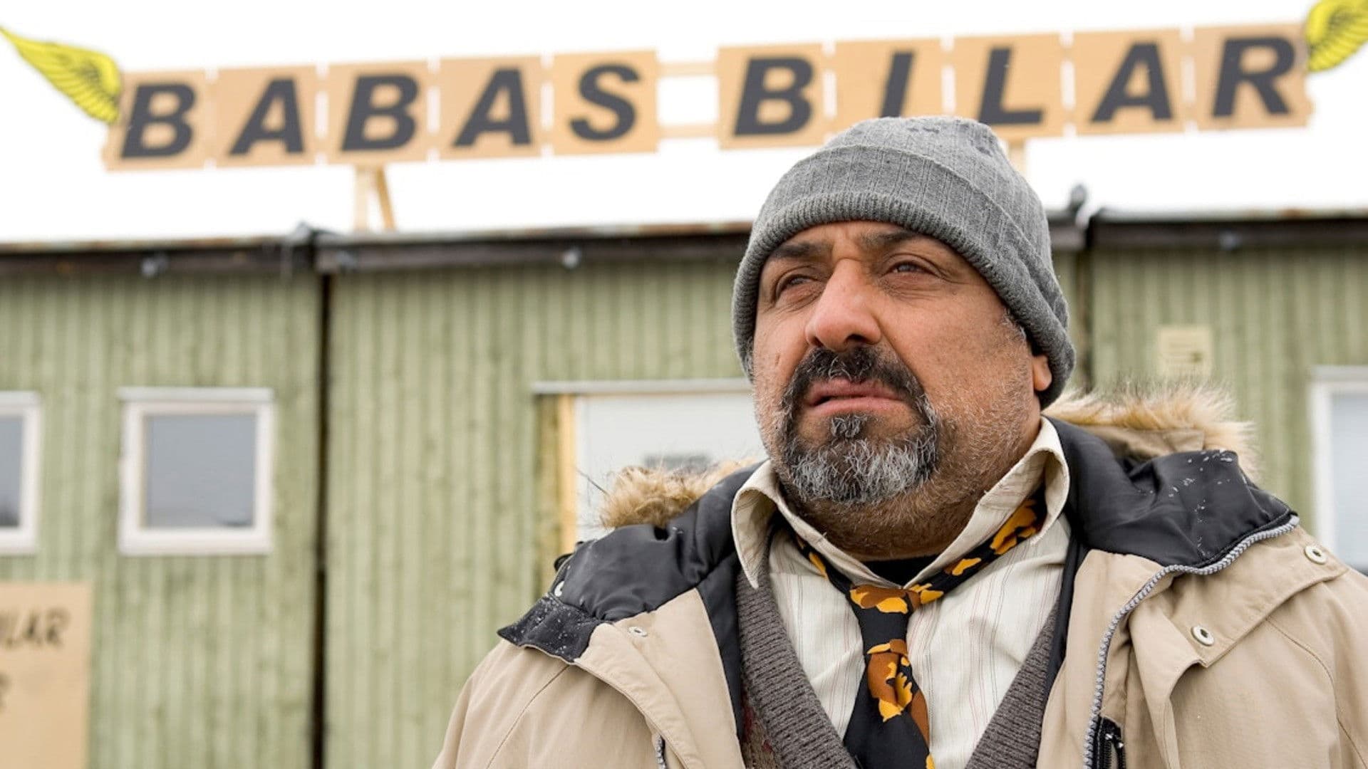 Baba's Cars Backdrop