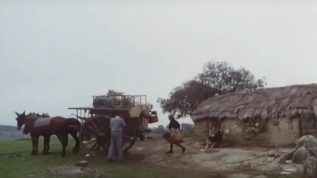 The Holy Innocents Backdrop