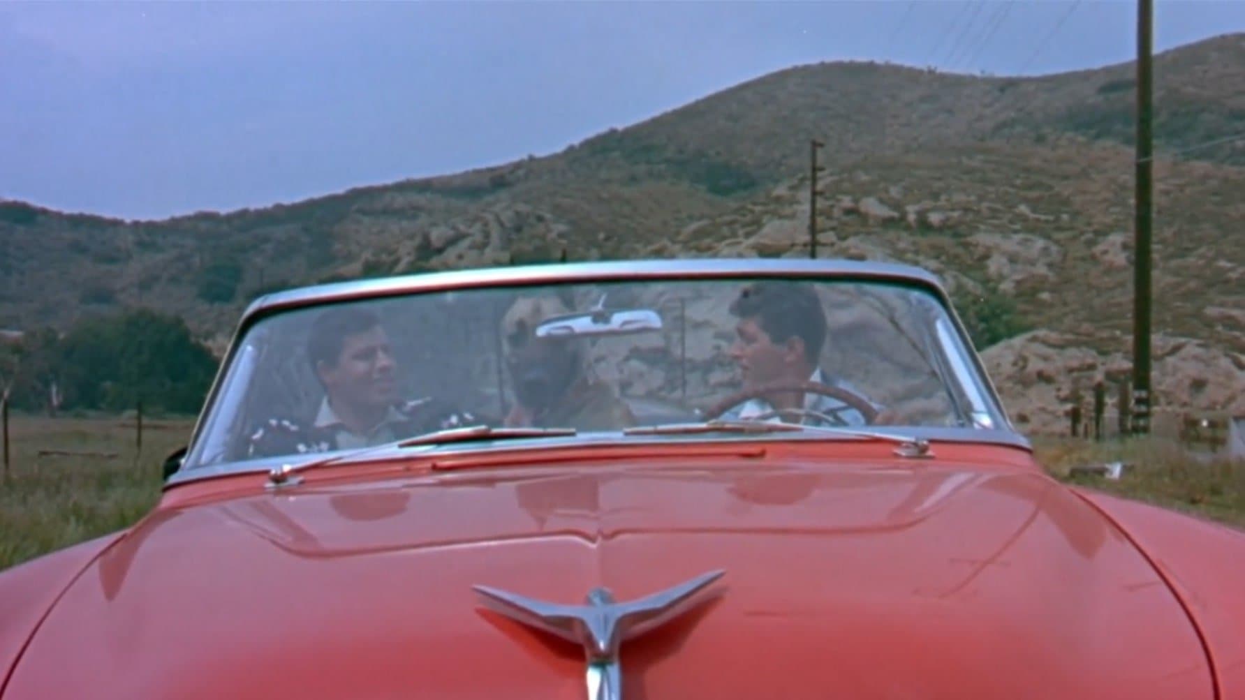 Hollywood or Bust Backdrop