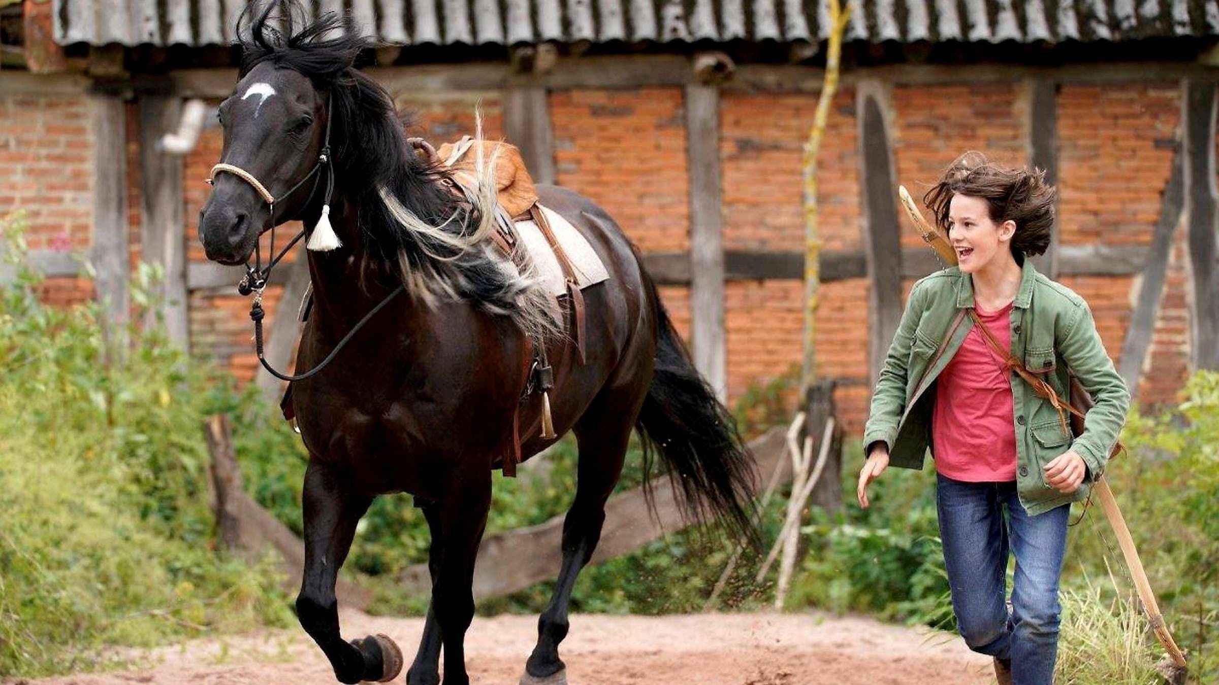 Windstorm: The Great Hurricane Backdrop