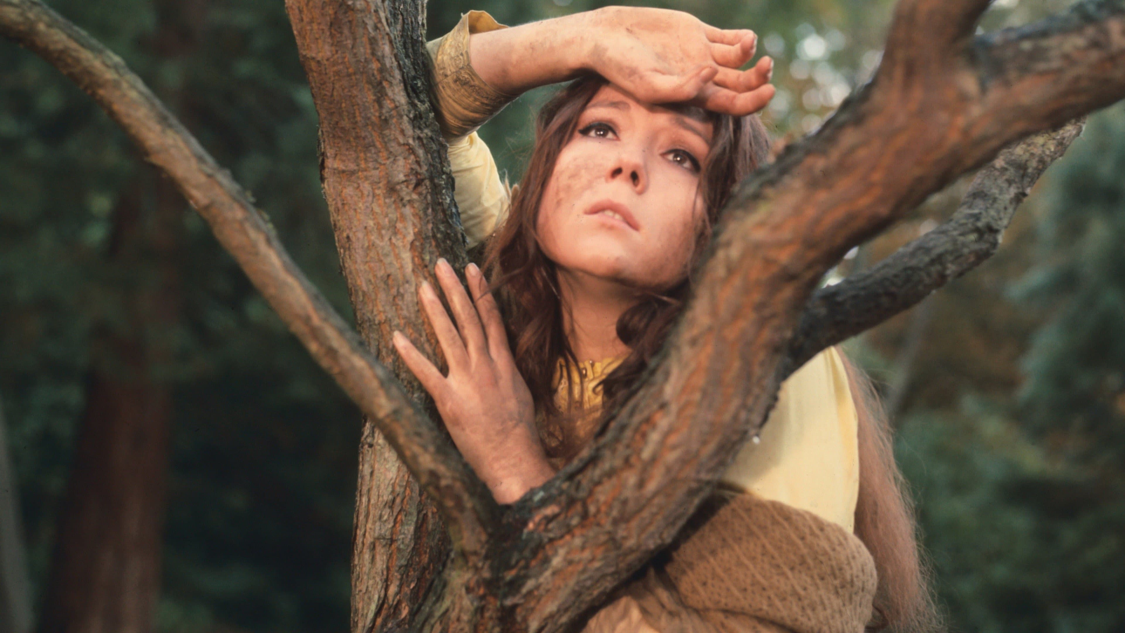 A Midsummer Night's Dream Backdrop