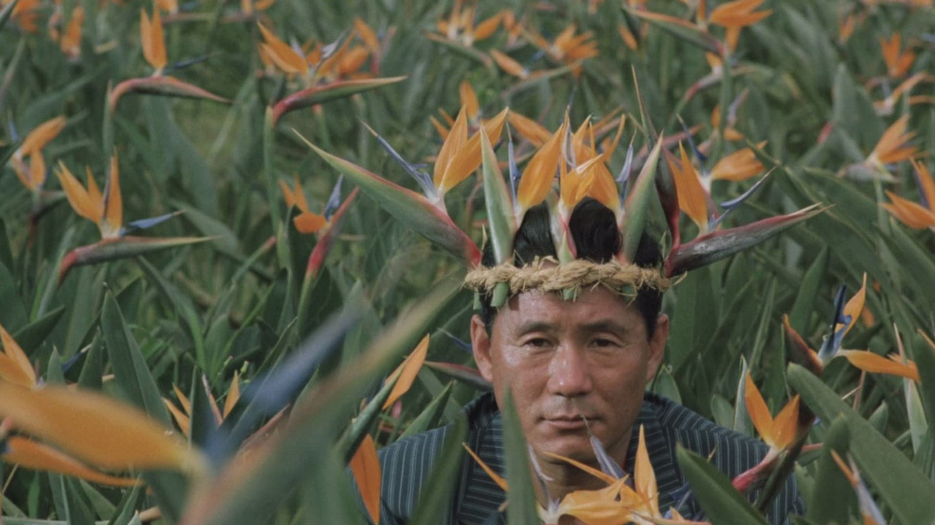 Boiling Point Backdrop