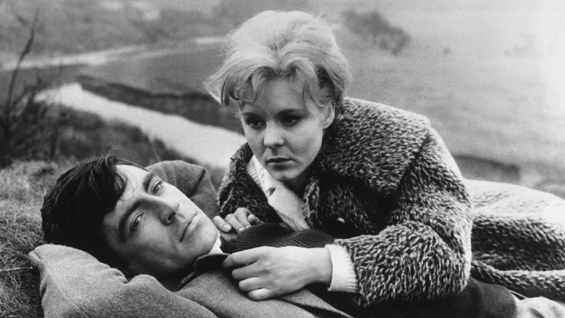 A Kind of Loving Backdrop