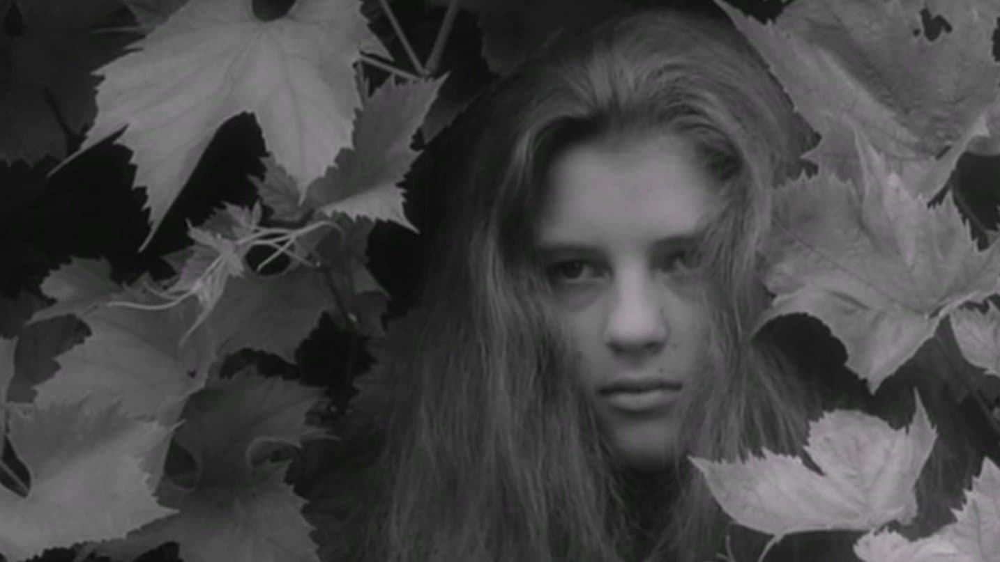 Alice in Wonderland Backdrop