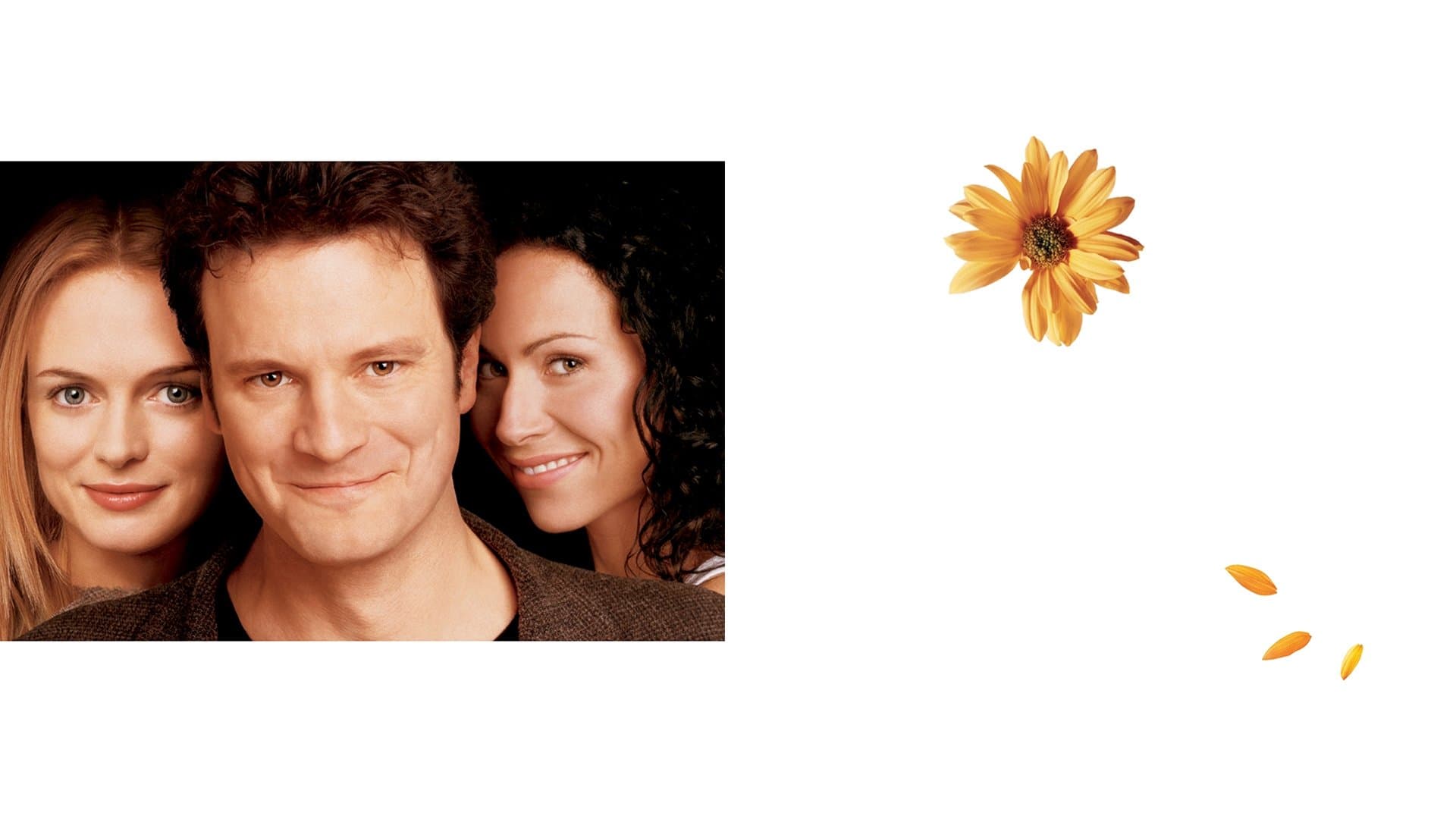 Hope Springs Backdrop