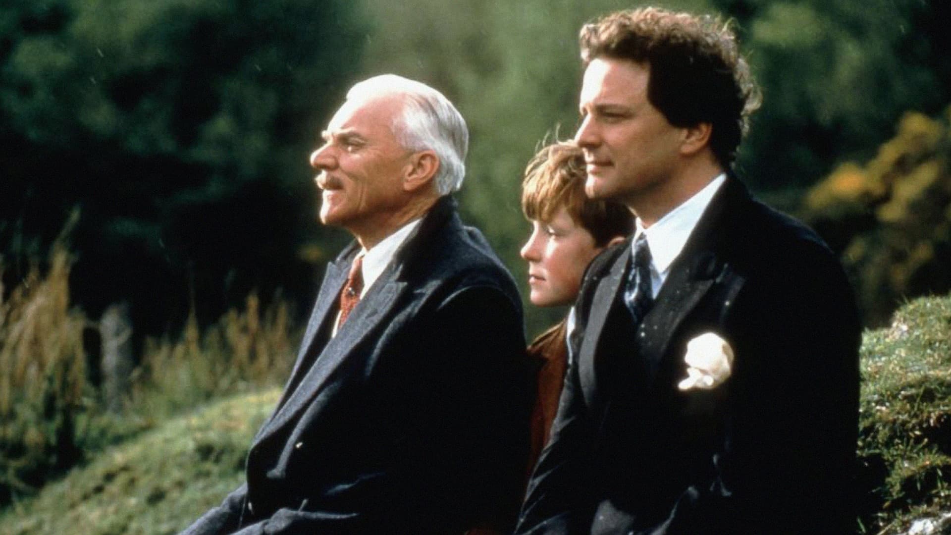 My Life So Far Backdrop