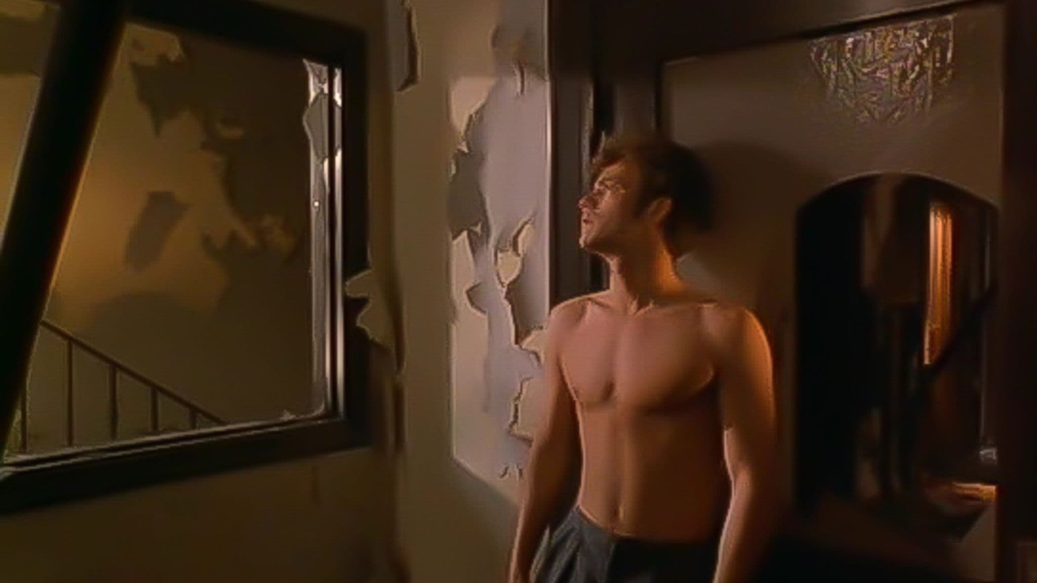 American Strays Backdrop