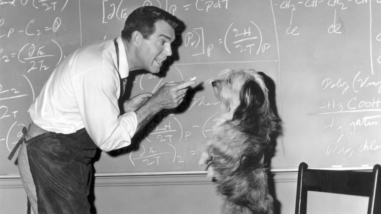 The Absent-Minded Professor Backdrop