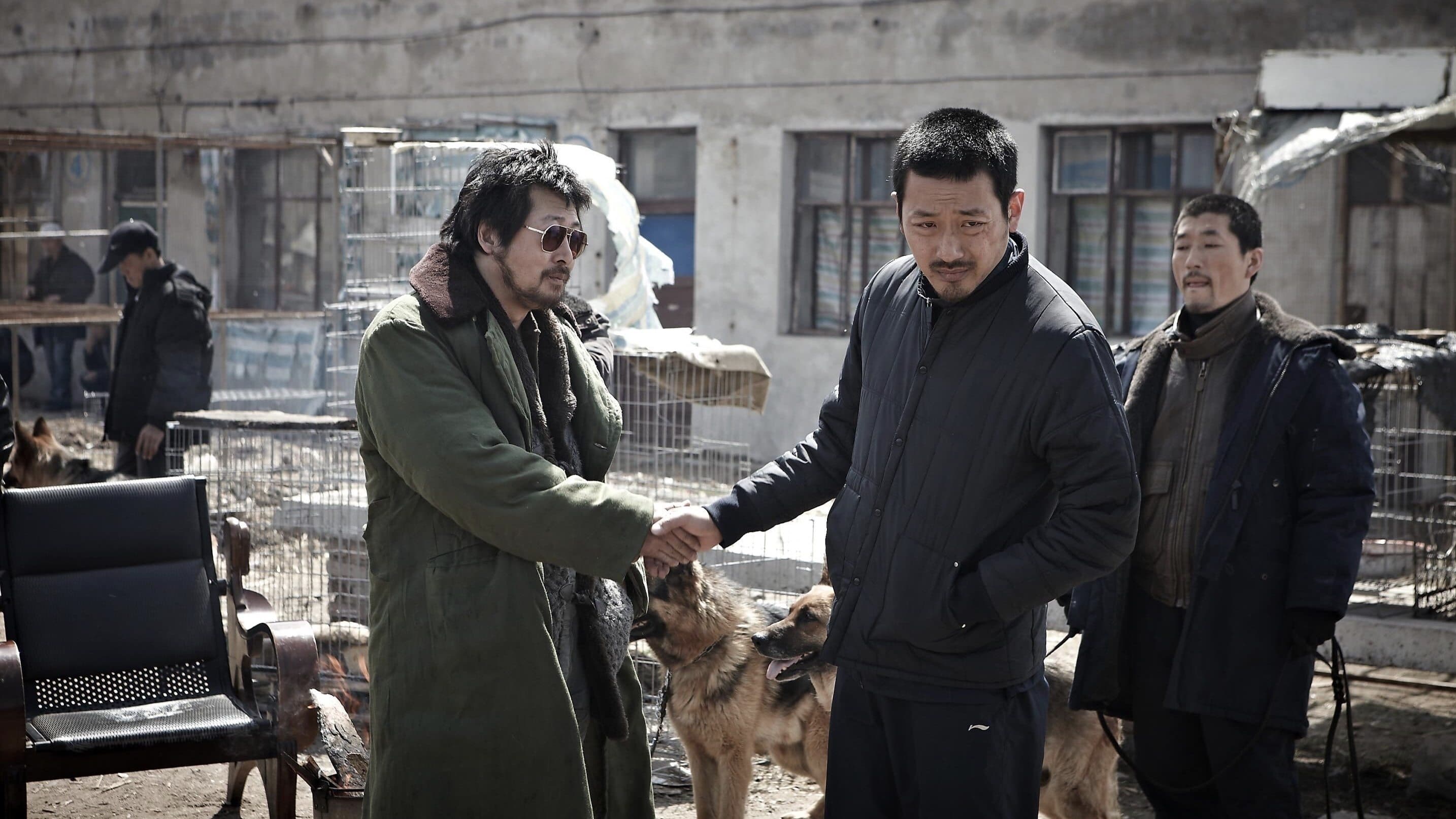 The Yellow Sea Backdrop