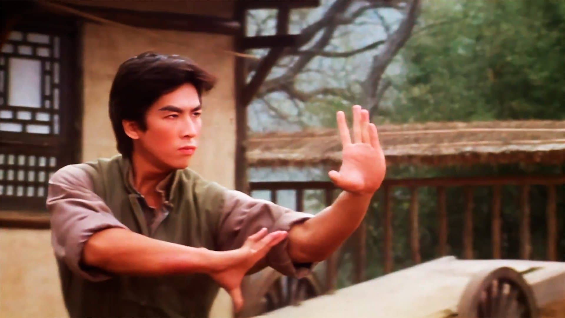 Drunken Tai Chi Backdrop