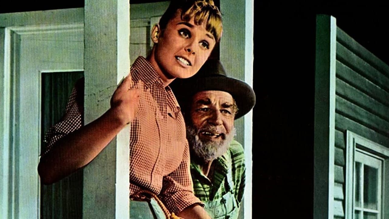 Tammy and the Millionaire Backdrop