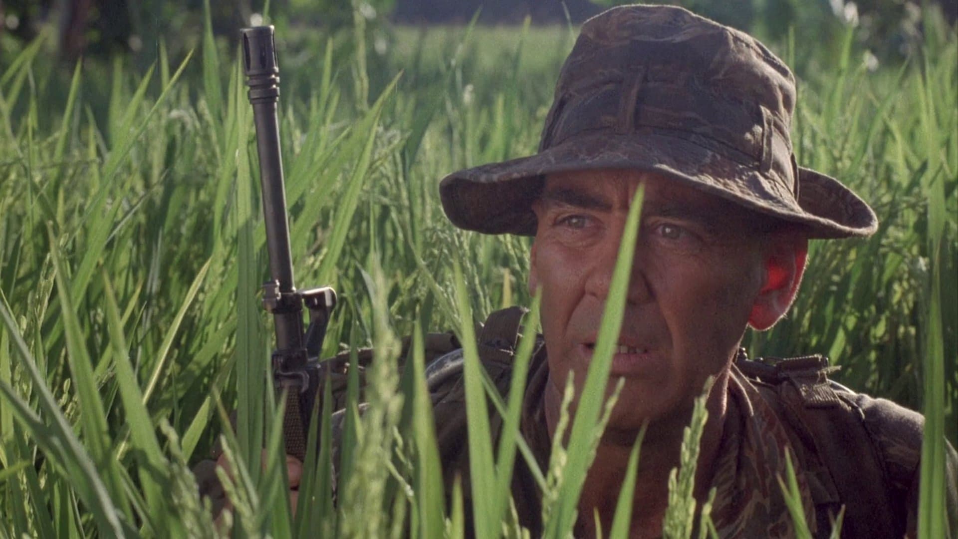 The Siege of Firebase Gloria Backdrop