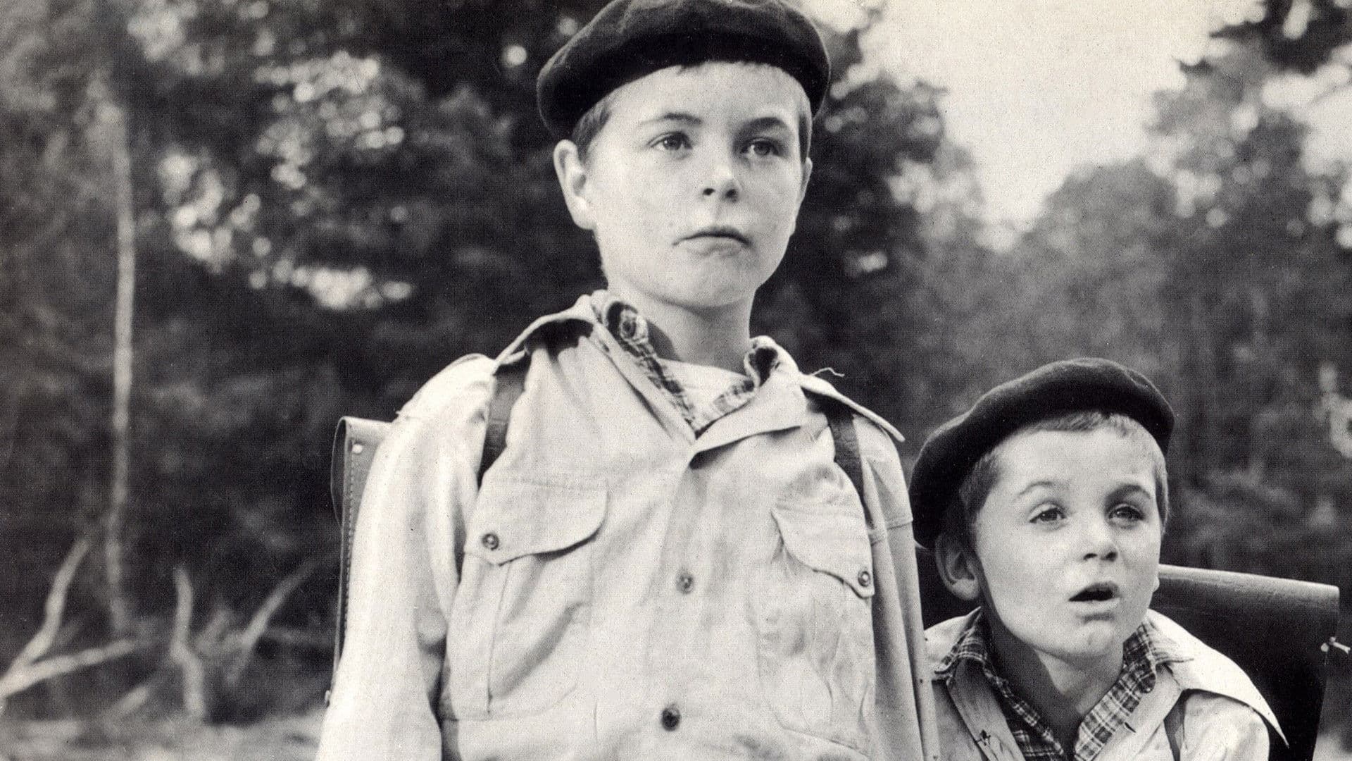 War of the Buttons Backdrop