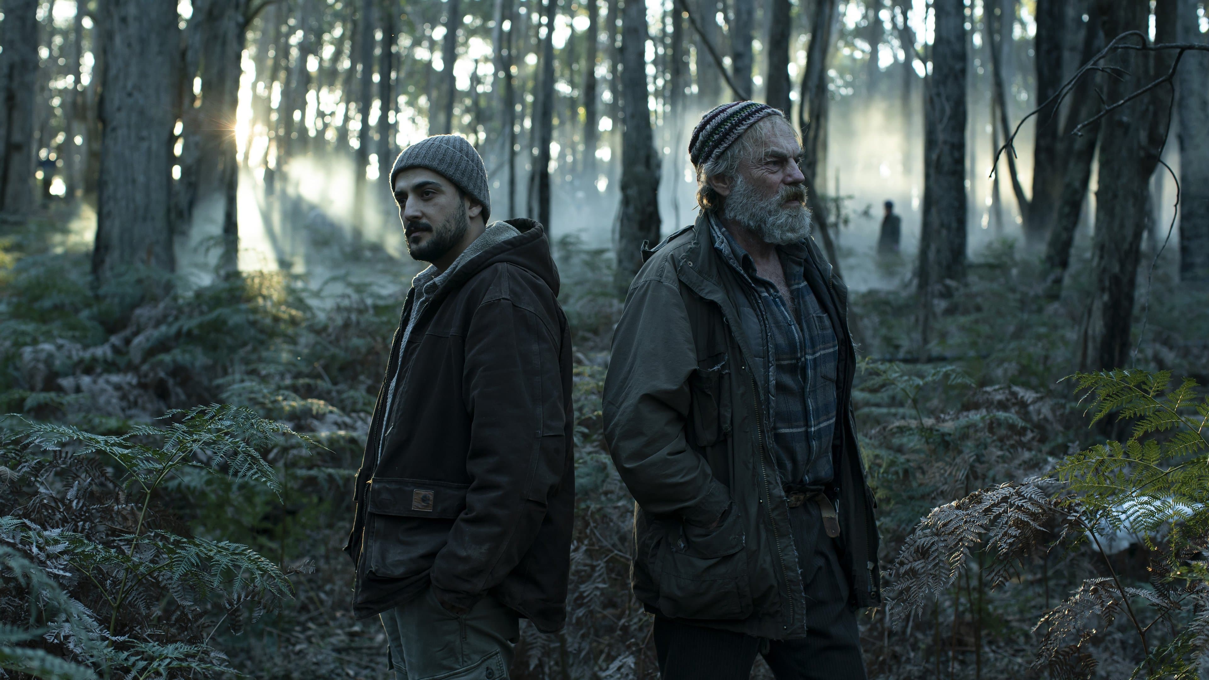 The Rooster Backdrop