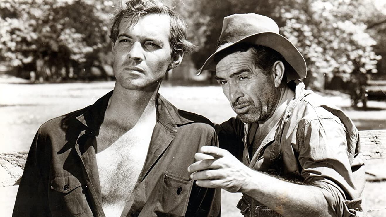 The Southerner Backdrop