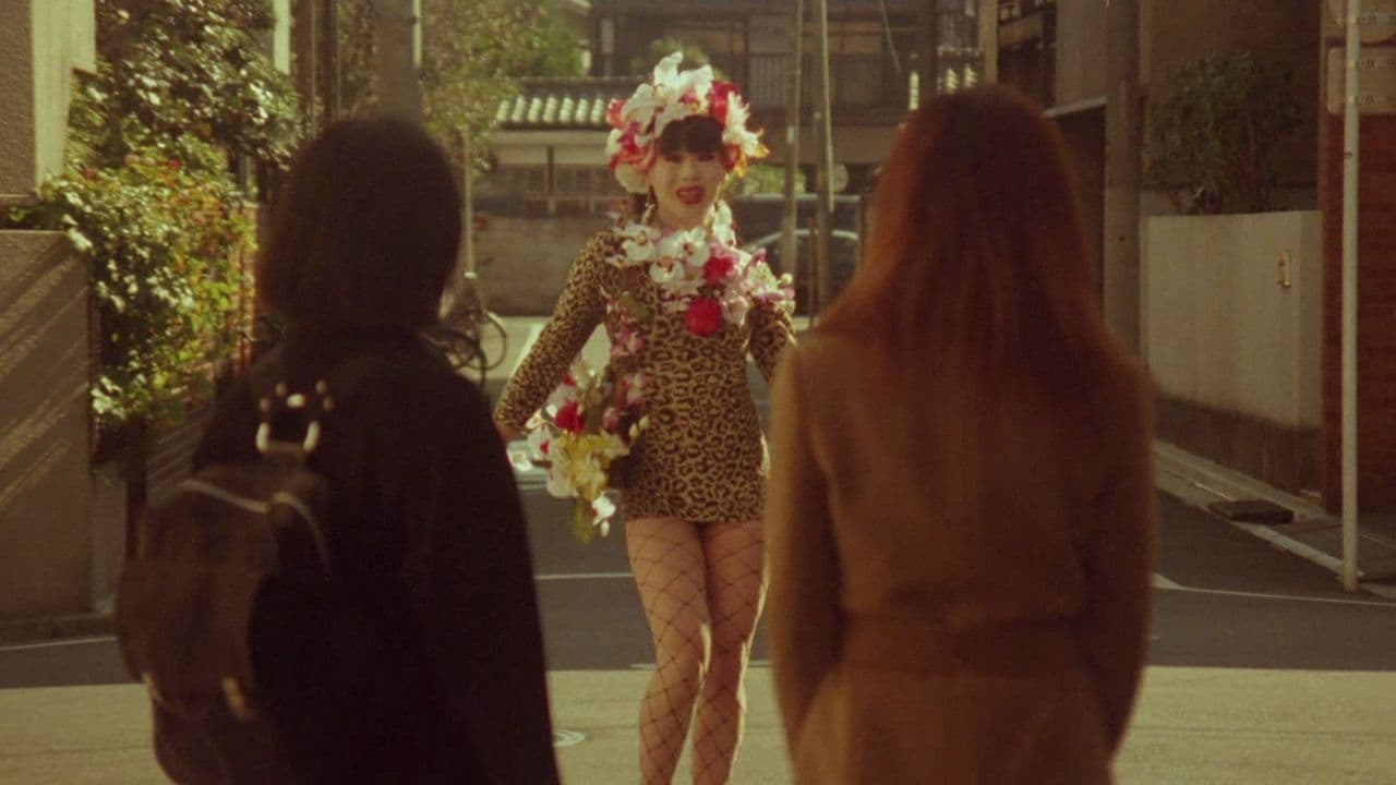 Midnight Stalker Backdrop