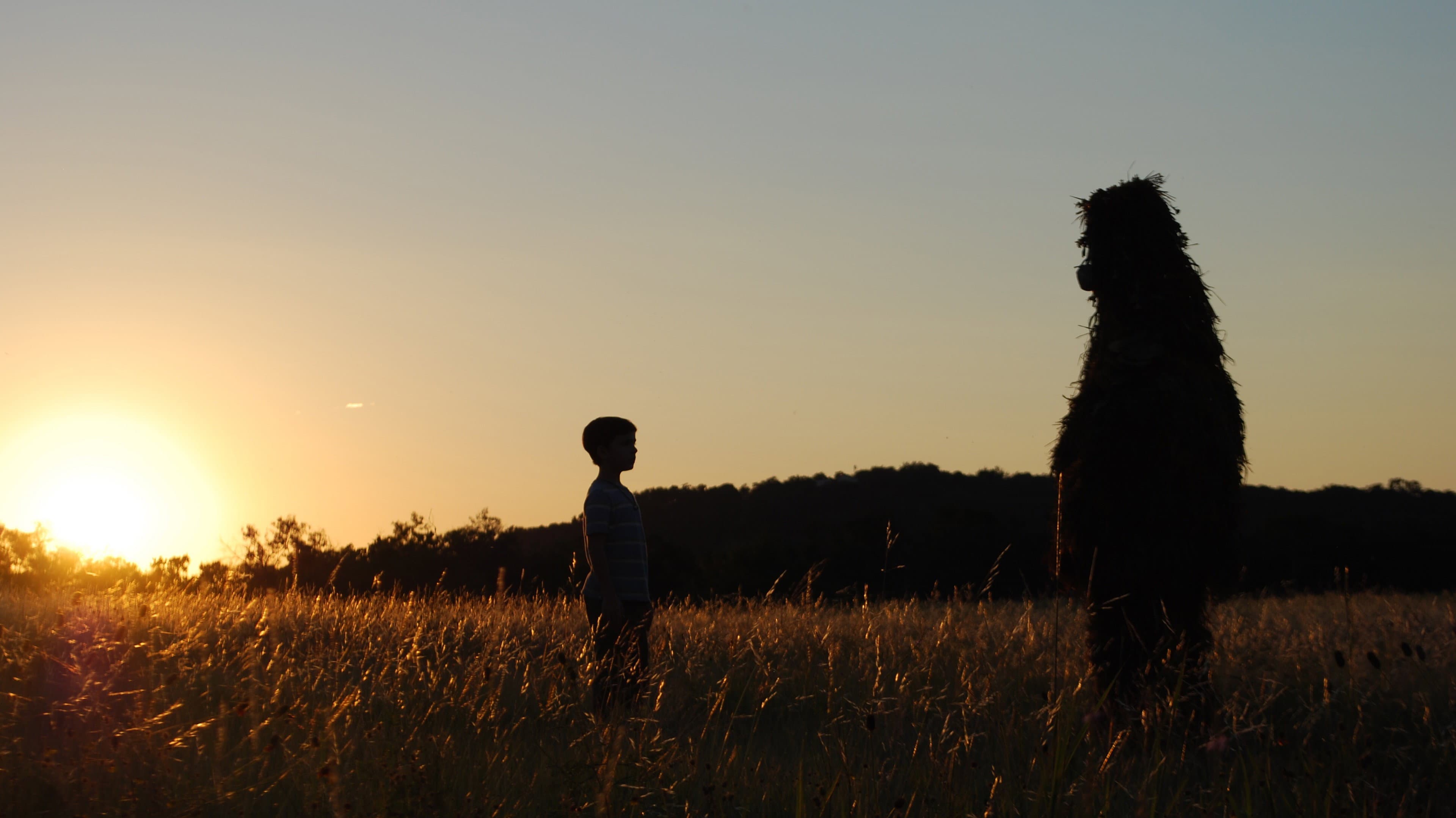 Into the Who Knows! Backdrop