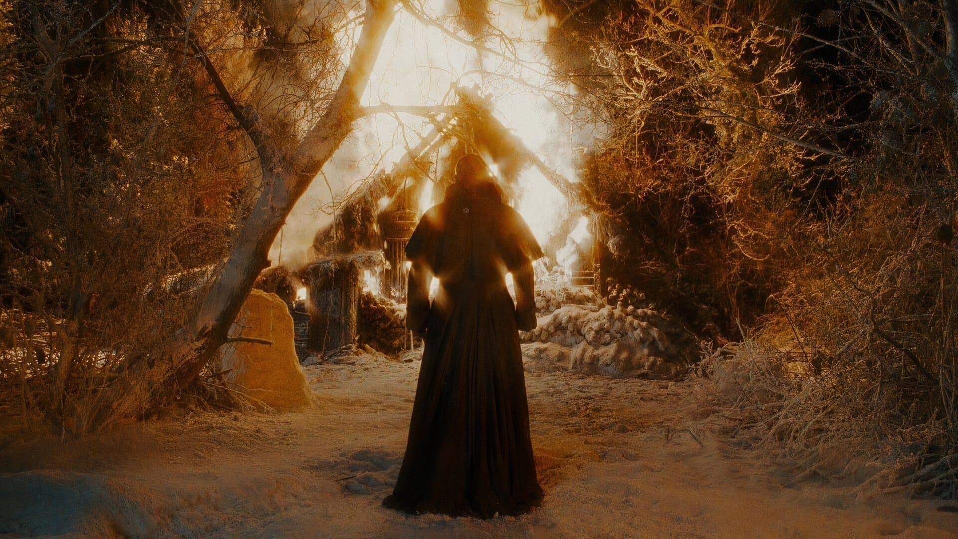 Mary Shelley's Frankenstein Backdrop