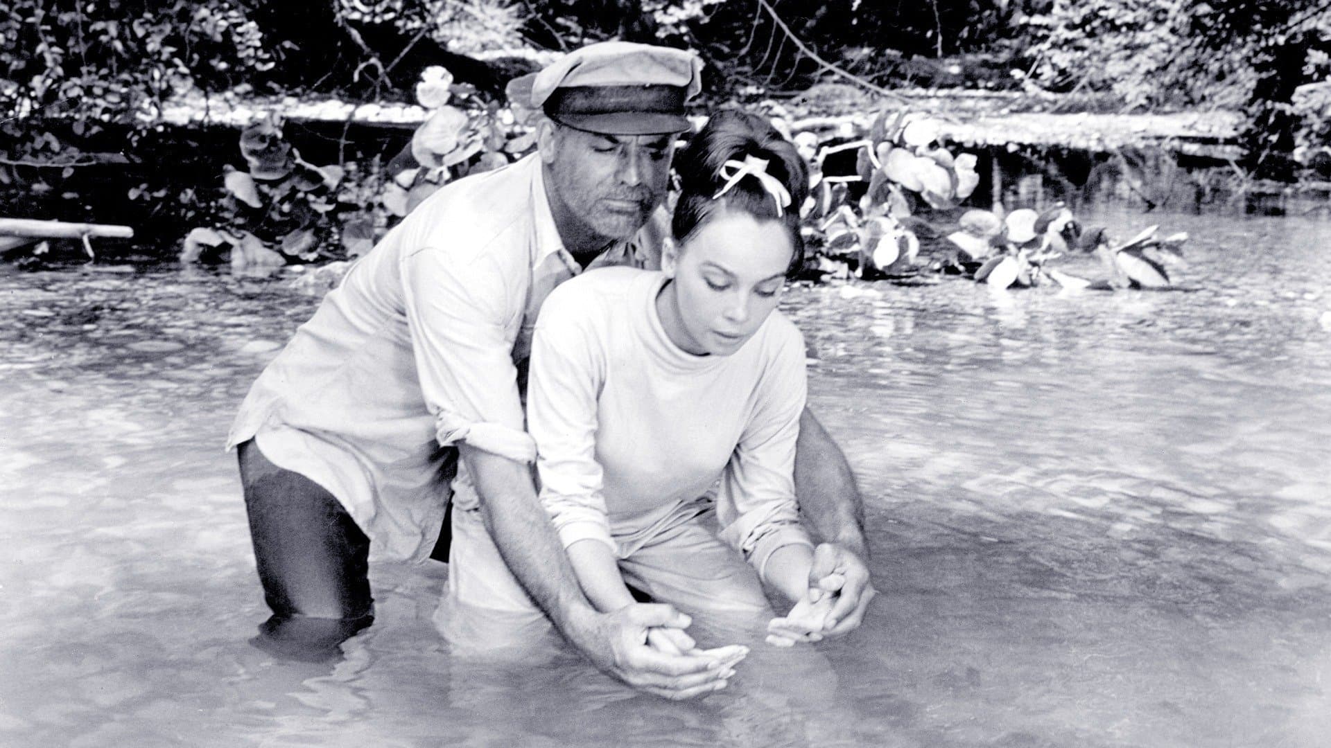 Father Goose Backdrop