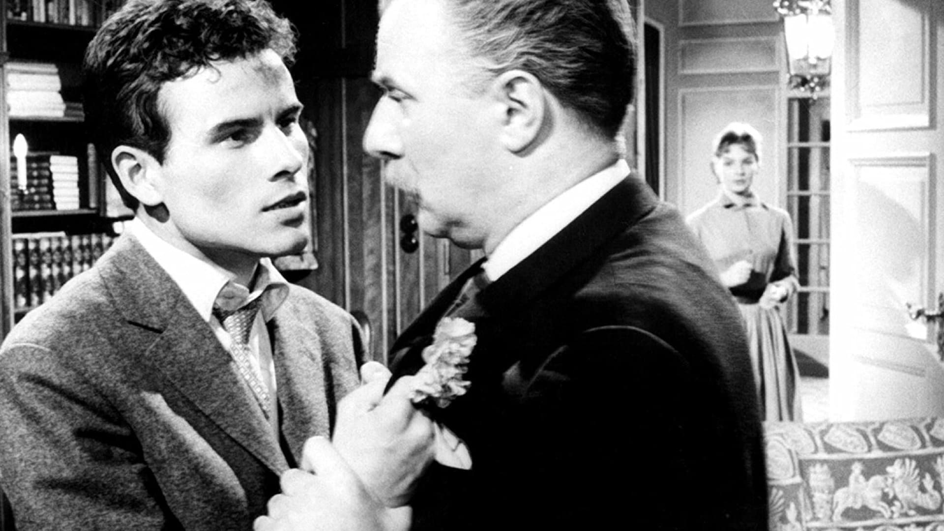 Wet Asphalt Backdrop