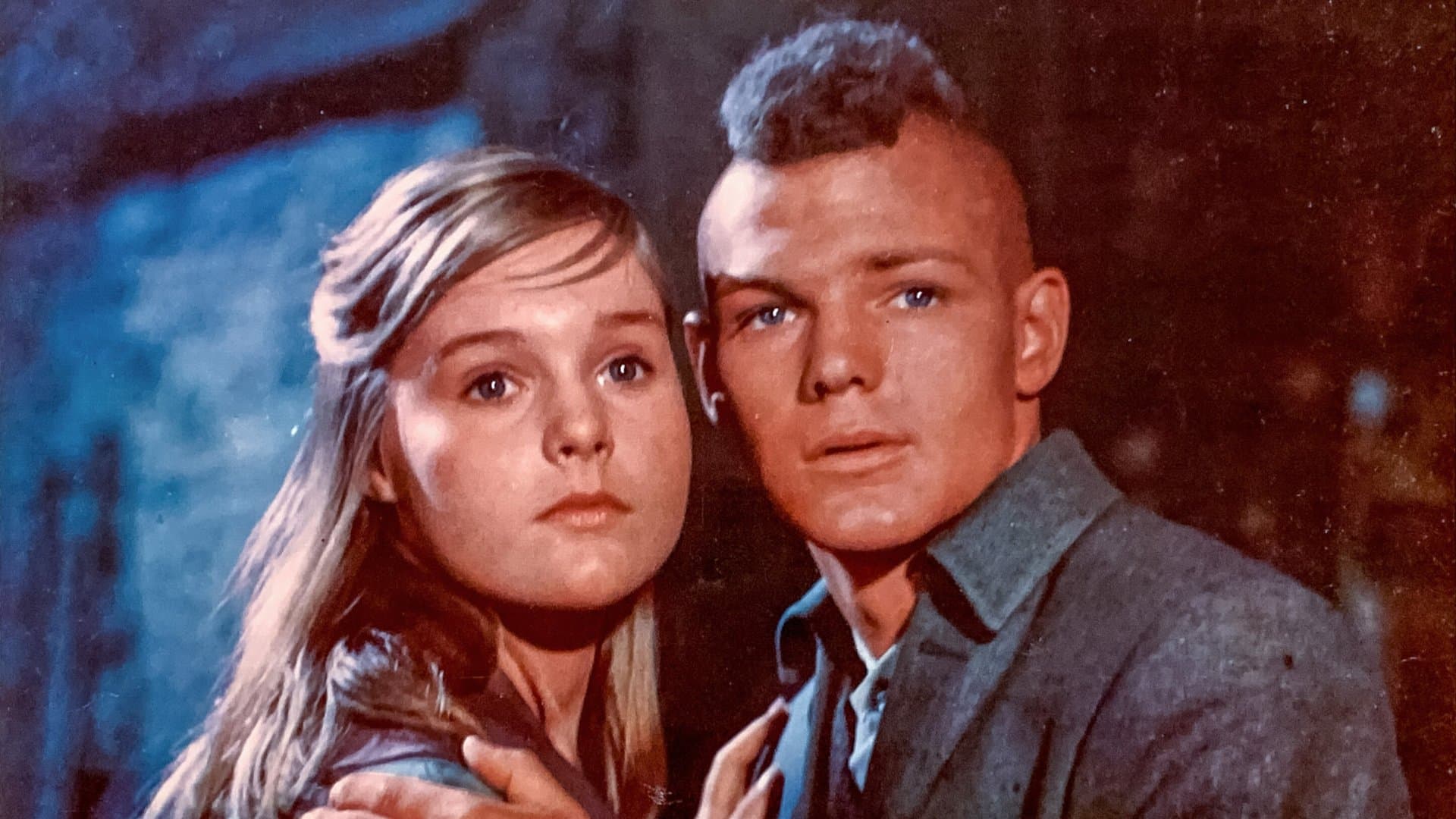 The Light in the Forest Backdrop