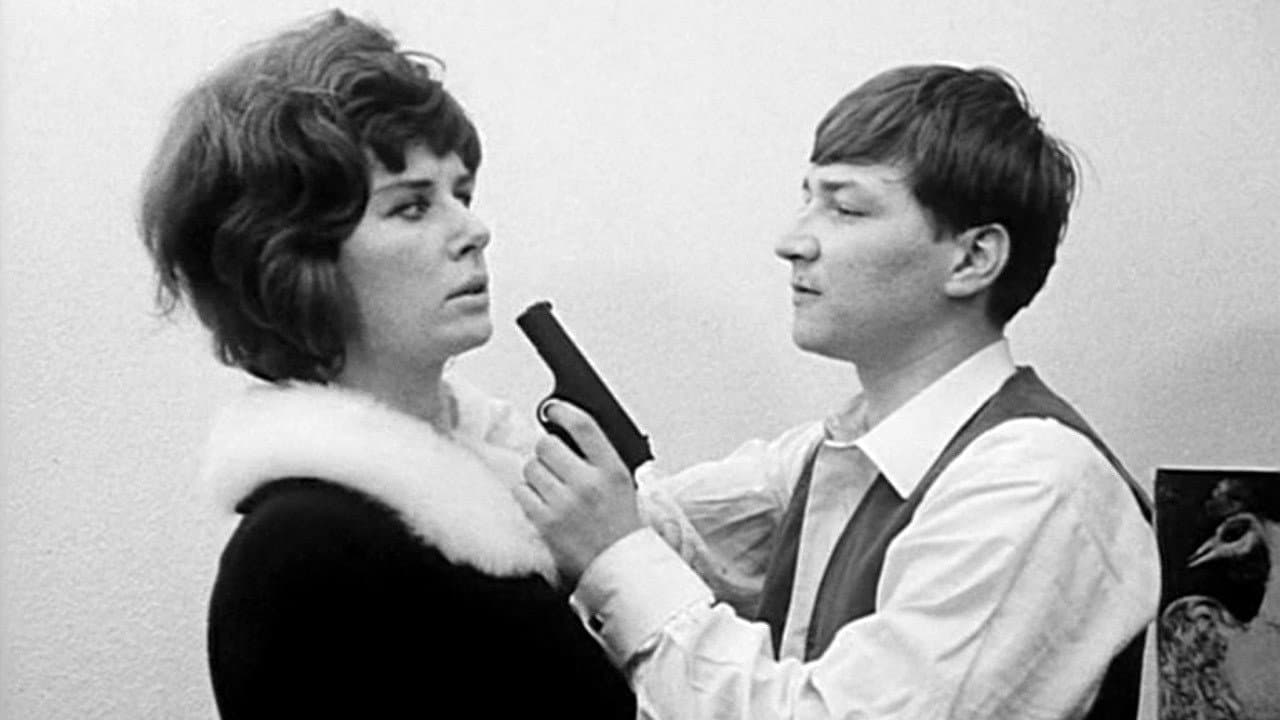 The Little Chaos Backdrop