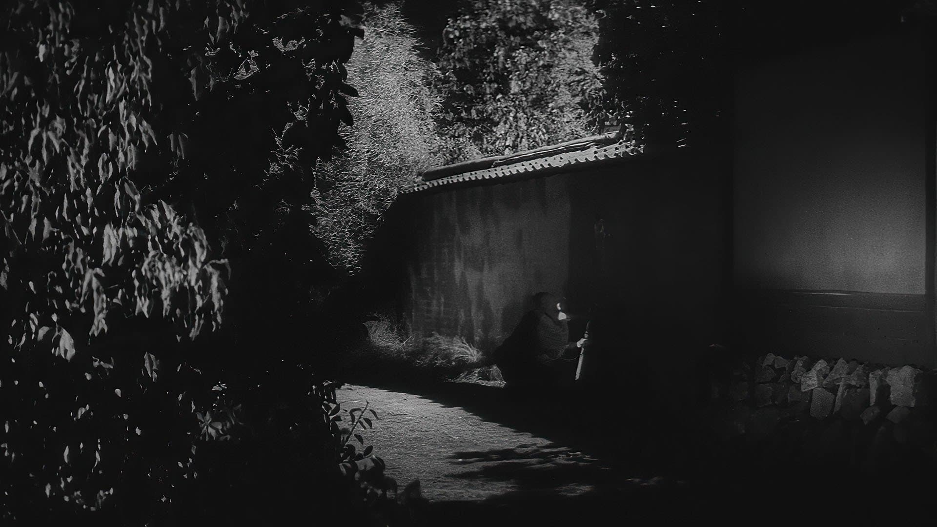 Ninja, A Band of Assassins Backdrop