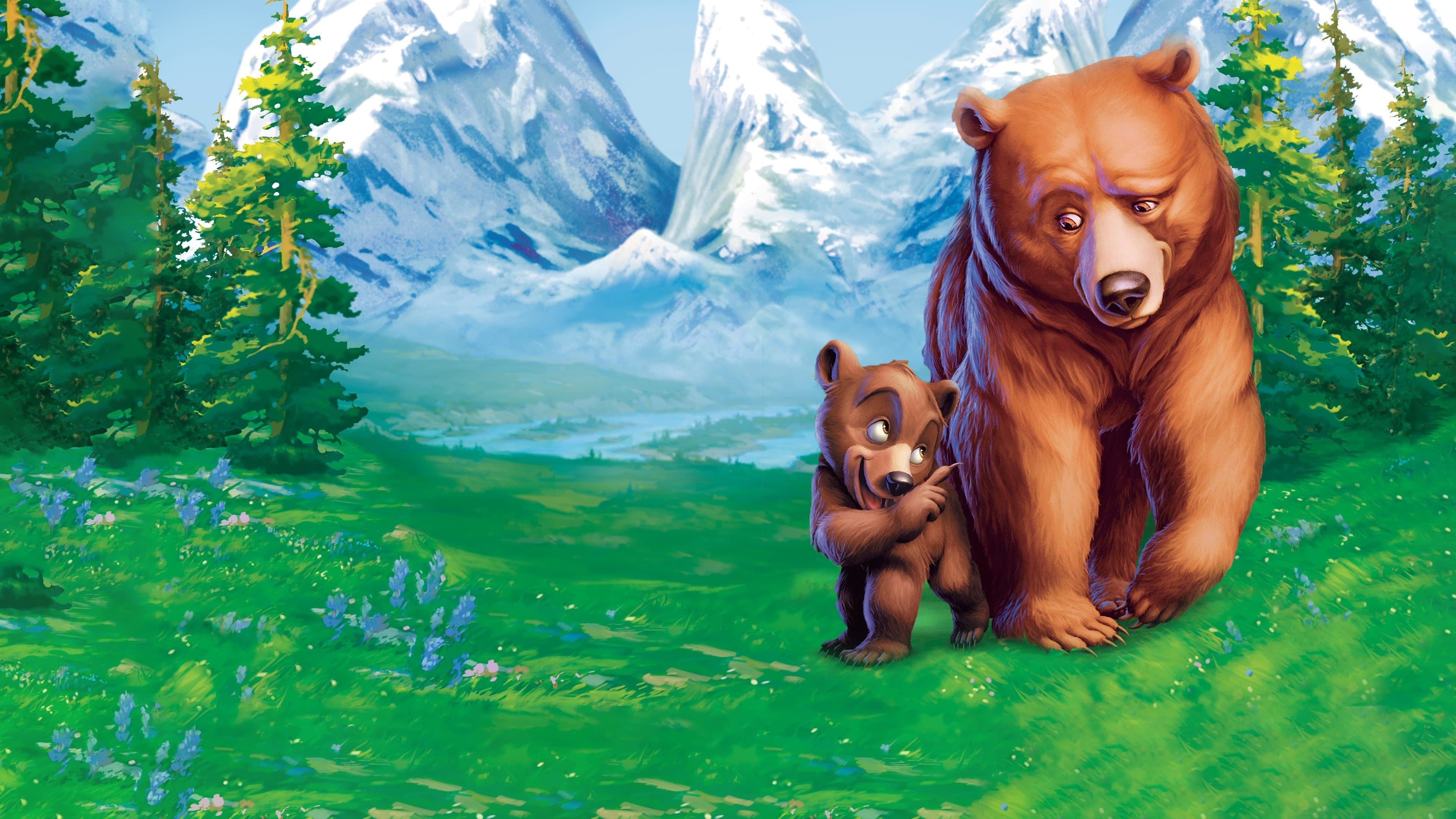 Brother Bear Backdrop