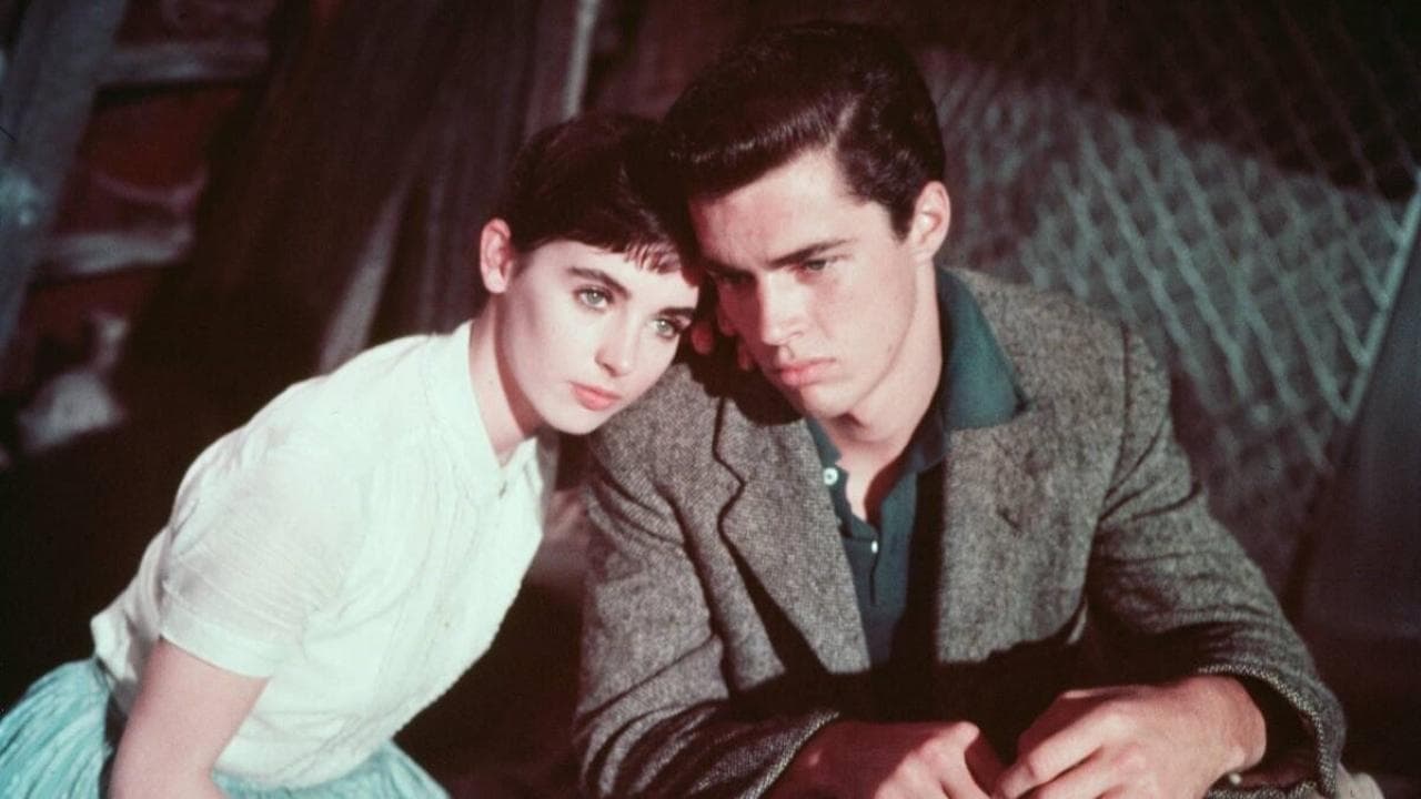 The Diary of Anne Frank Backdrop