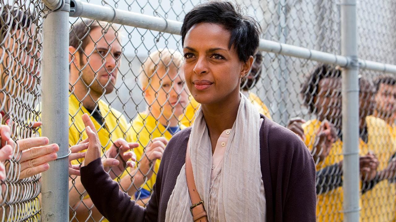 Katie Fforde: Hexensommer Backdrop