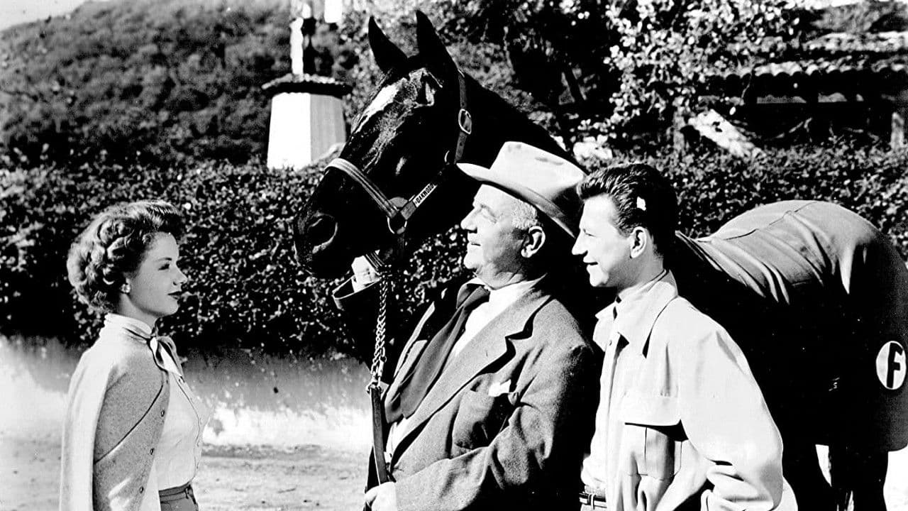 Francis Covers the Big Town Backdrop