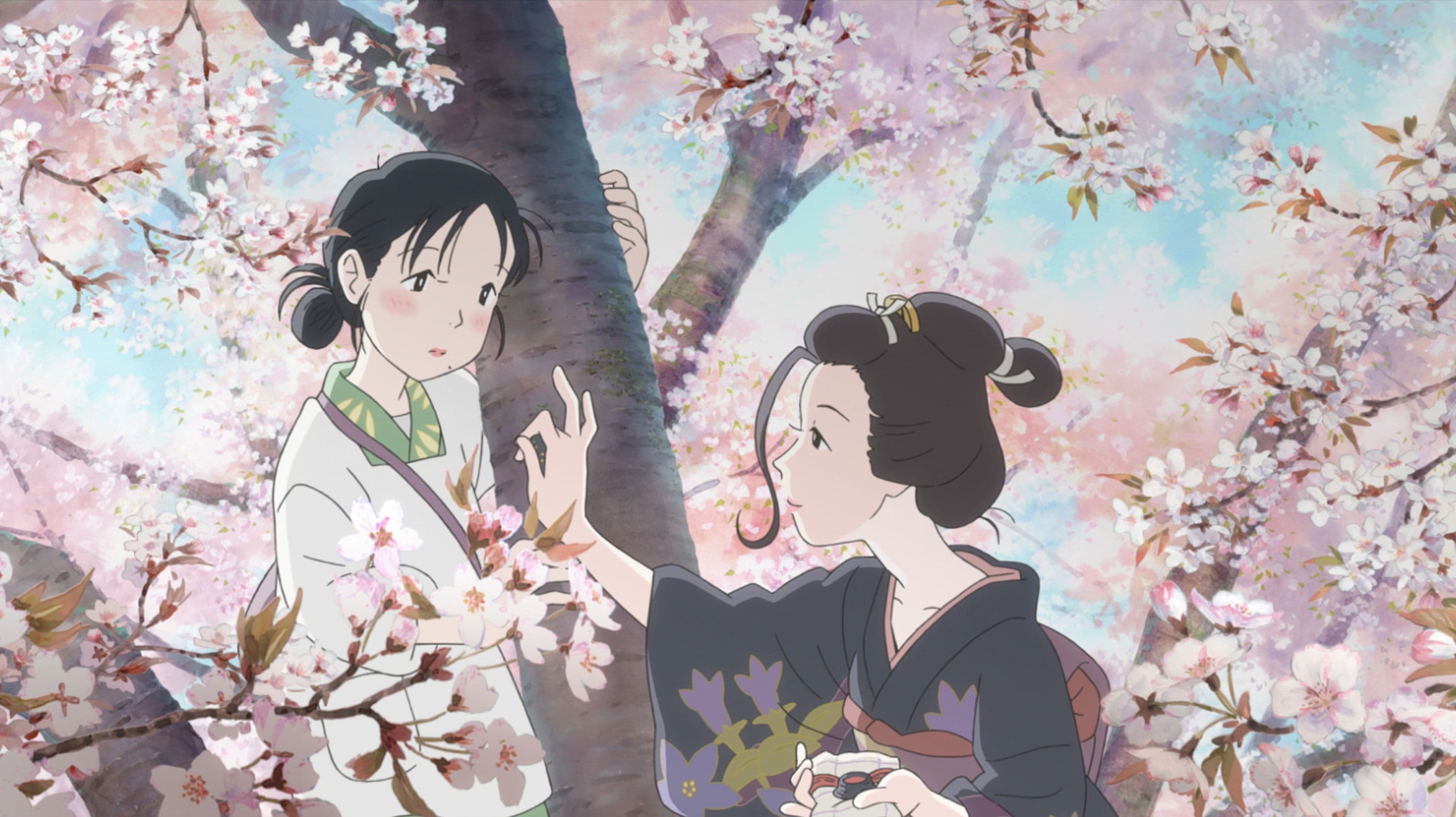 In This Corner (and Other Corners) of the World Backdrop