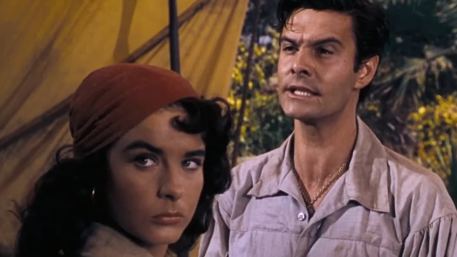 Anne of the Indies Backdrop